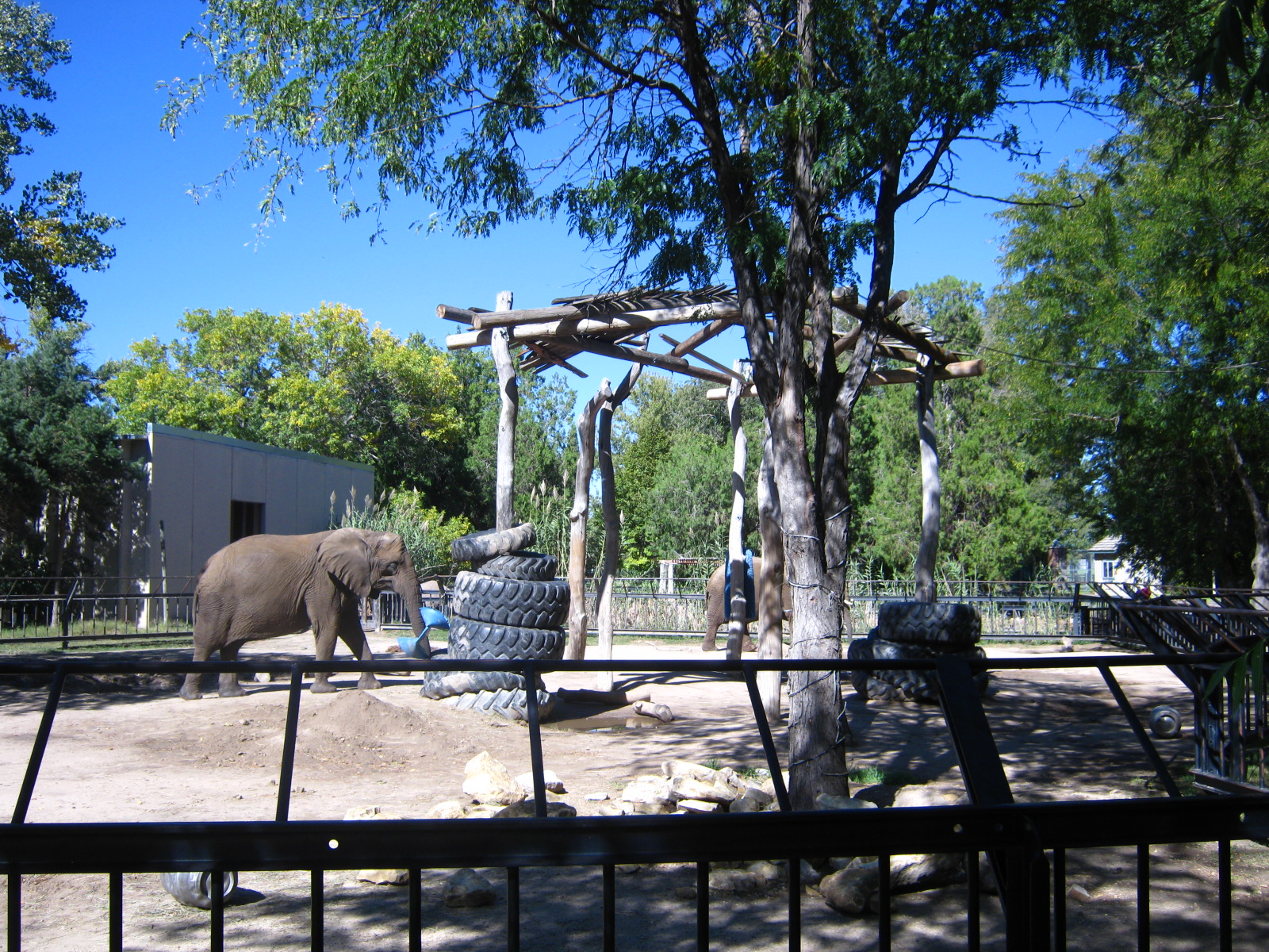 Lee Richardson Zoo