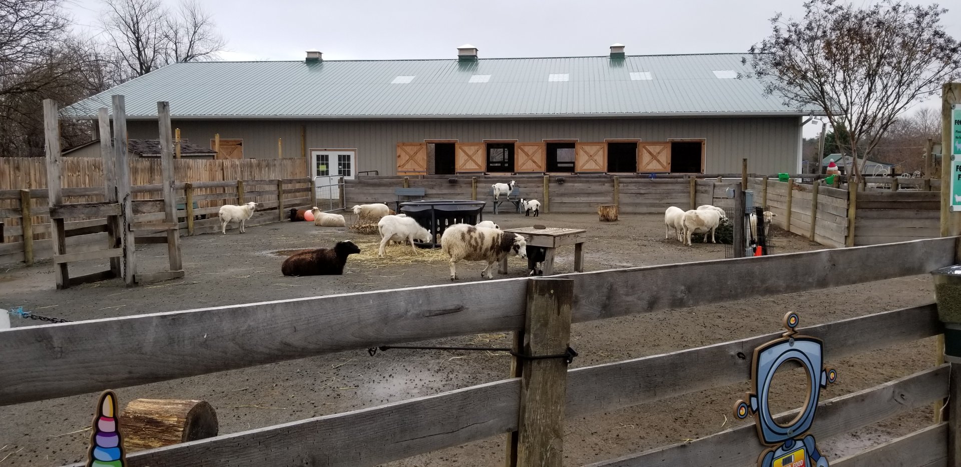 Leesburg Animal Park - goat and sheep petting area