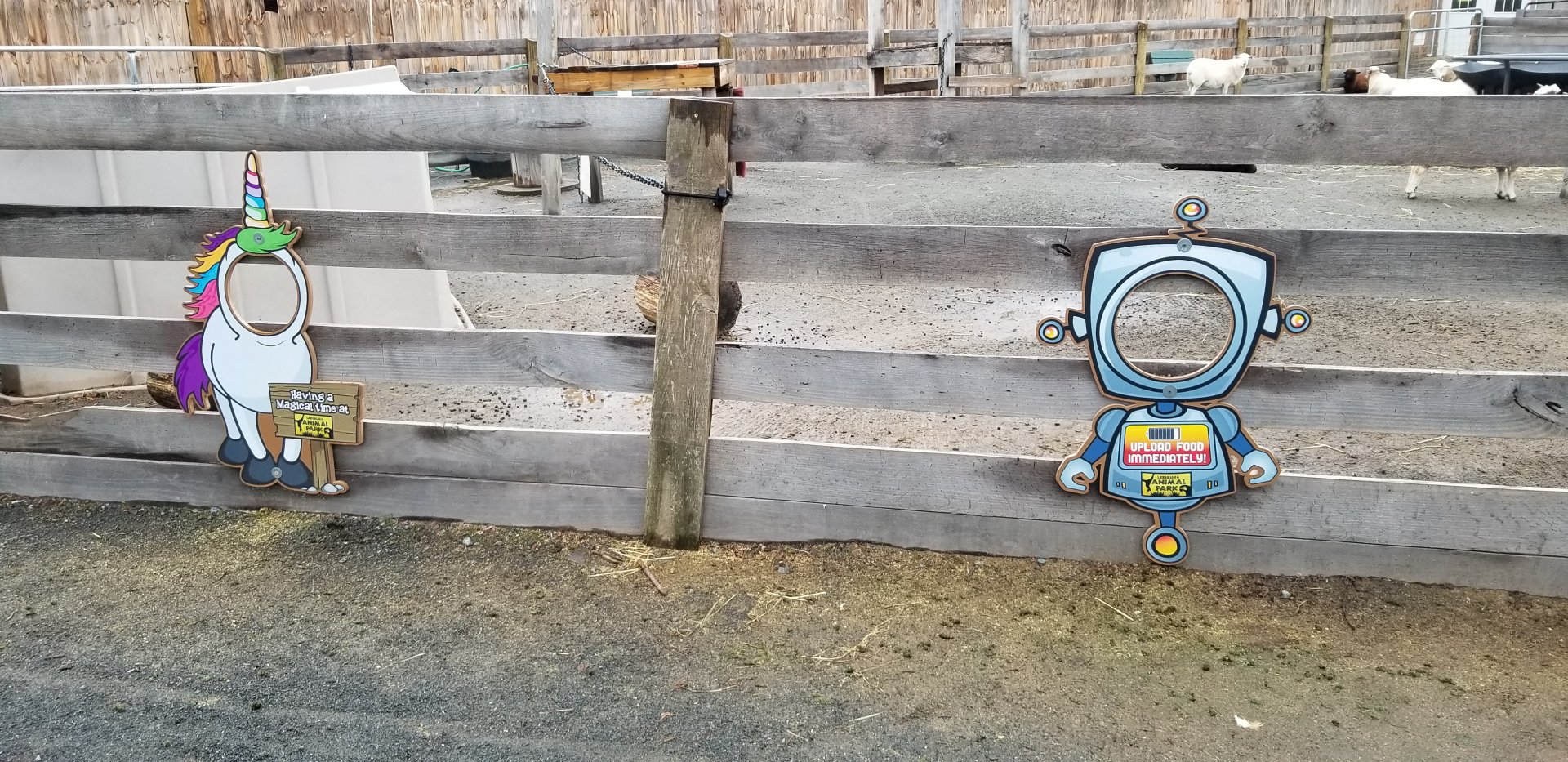 Leesburg Animal Park - goat signs