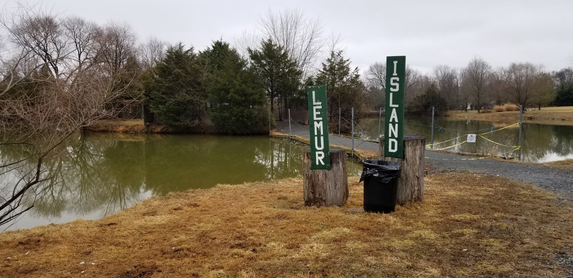 Leesburg Animal Park - lemur island