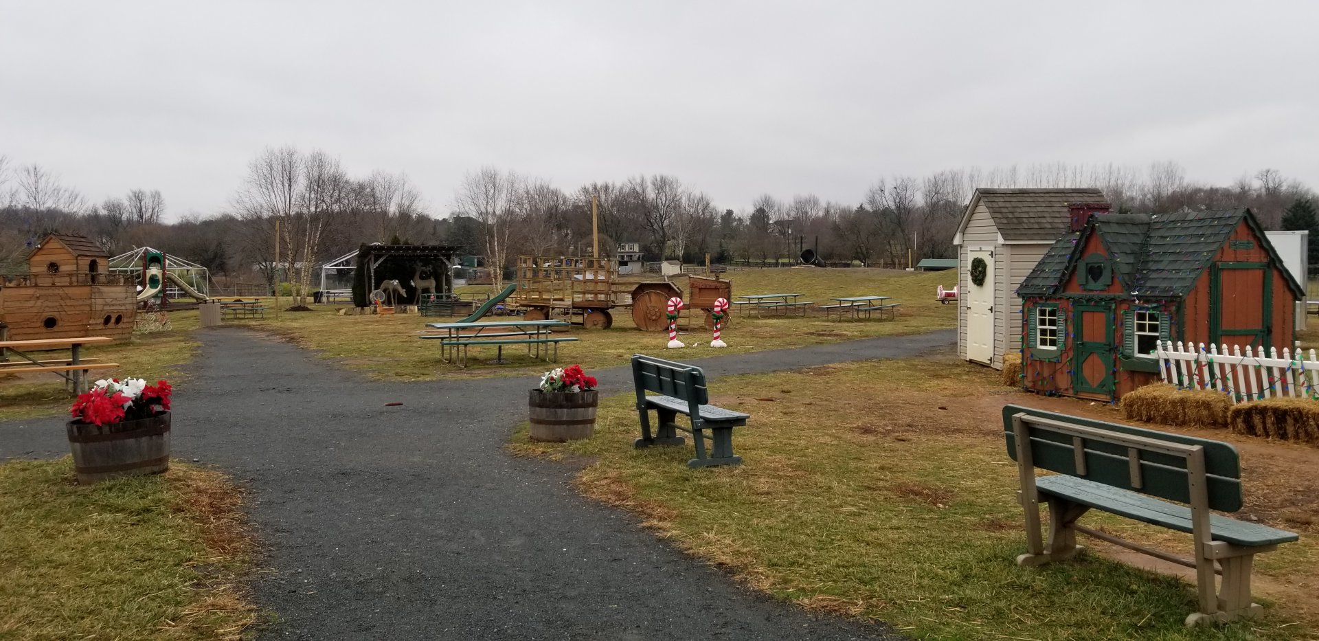 Leesburg Animal Park - performance area