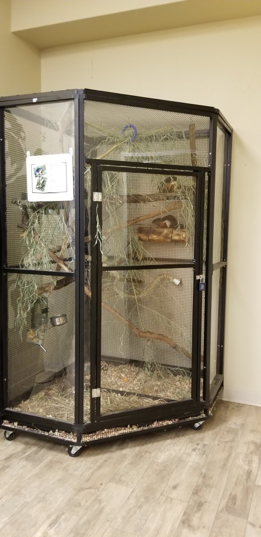 Leesburg Animal Park - prevost squirrels