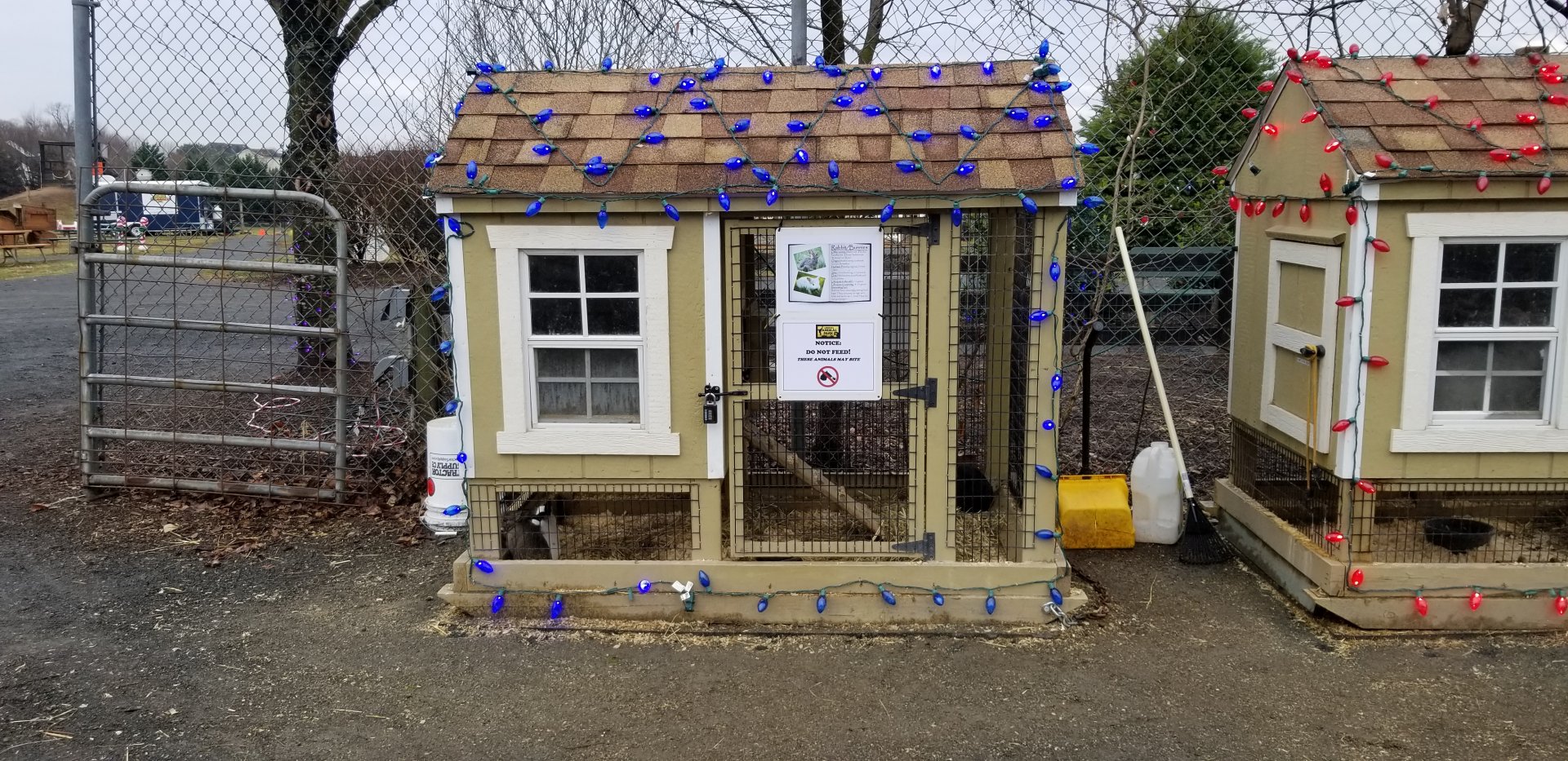 Leesburg Animal Park - Rabbits