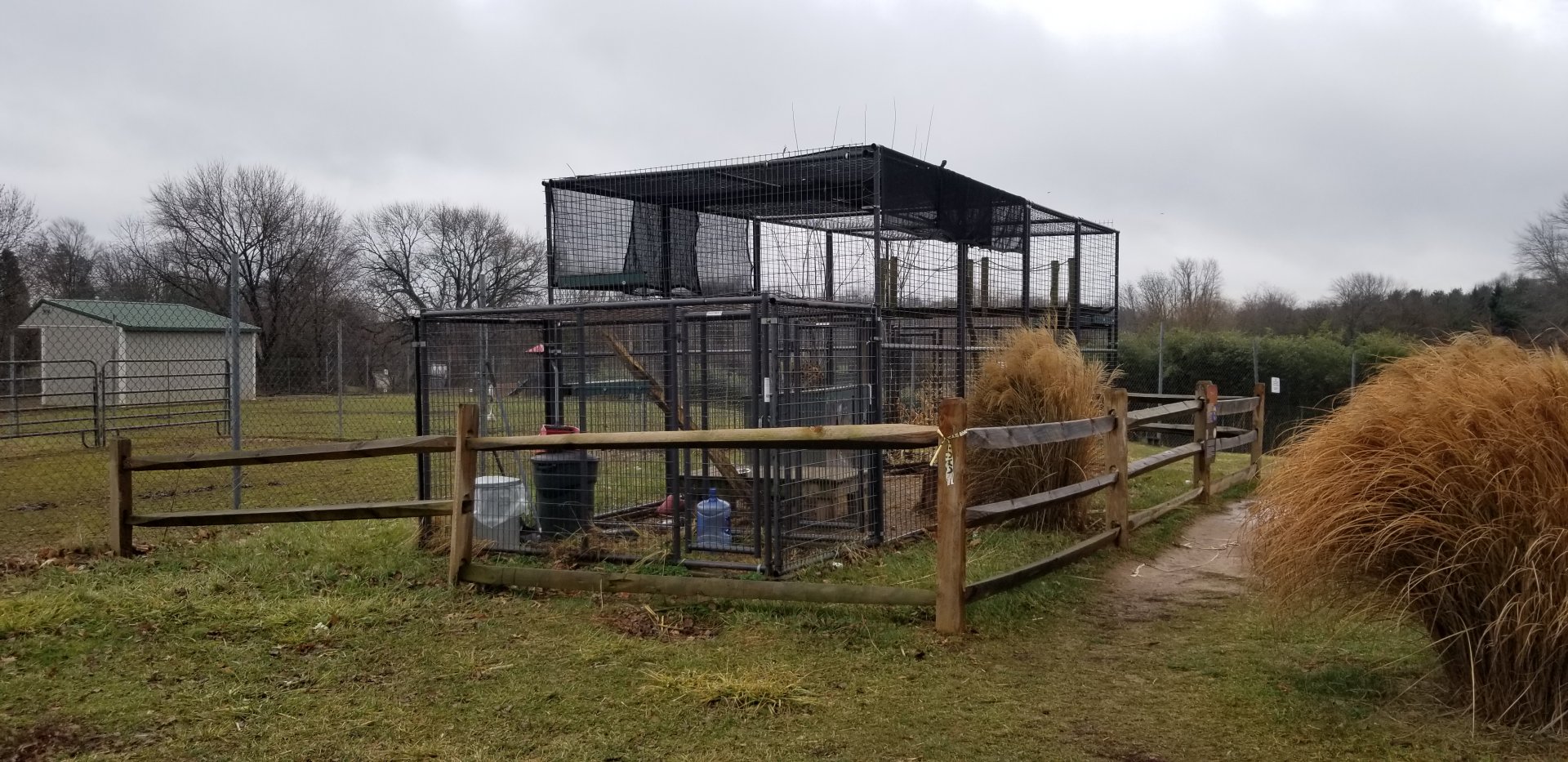 Leesburg Animal Park - Servals