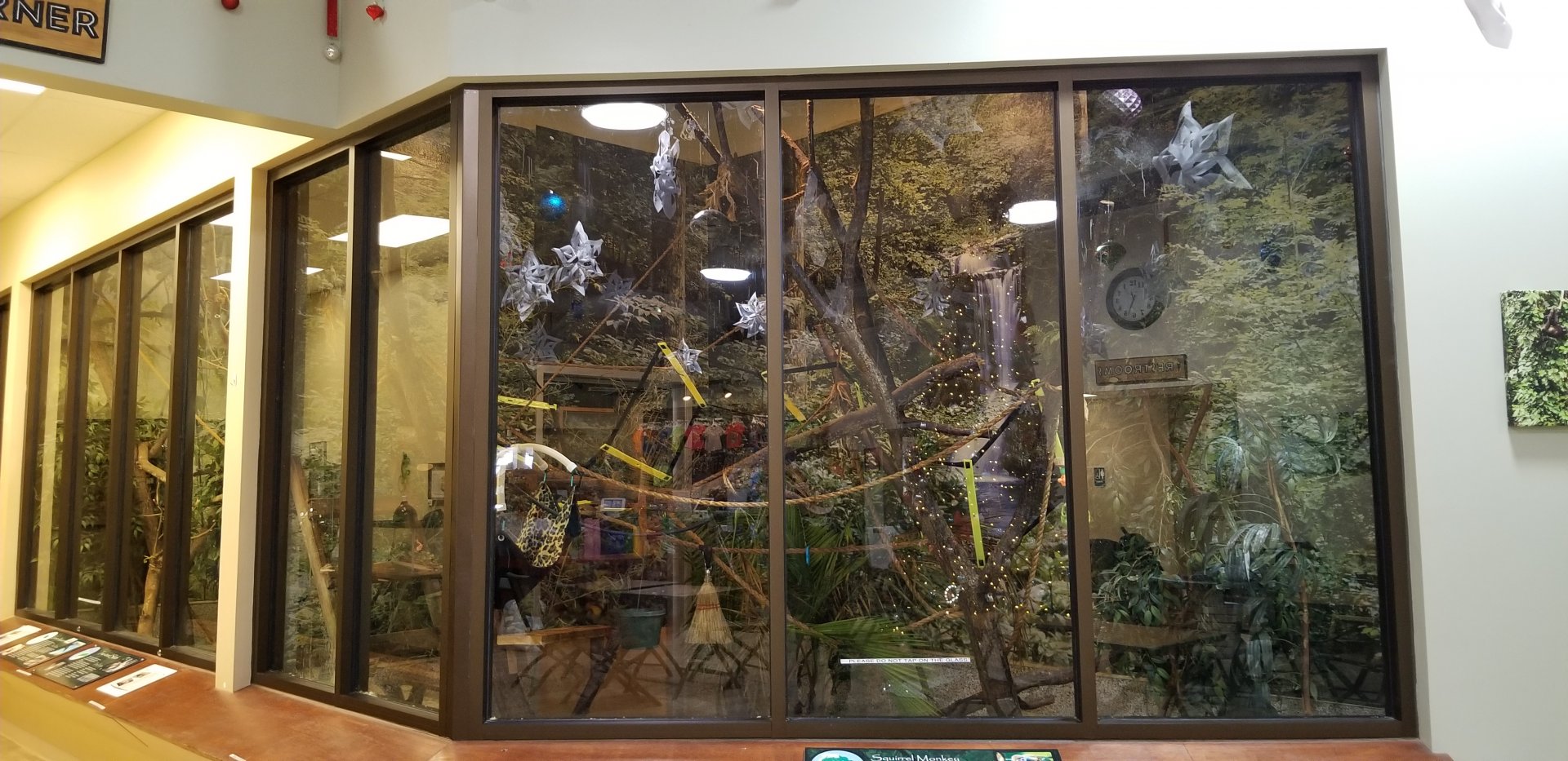 Leesburg Animal Park - squirrel monkeys