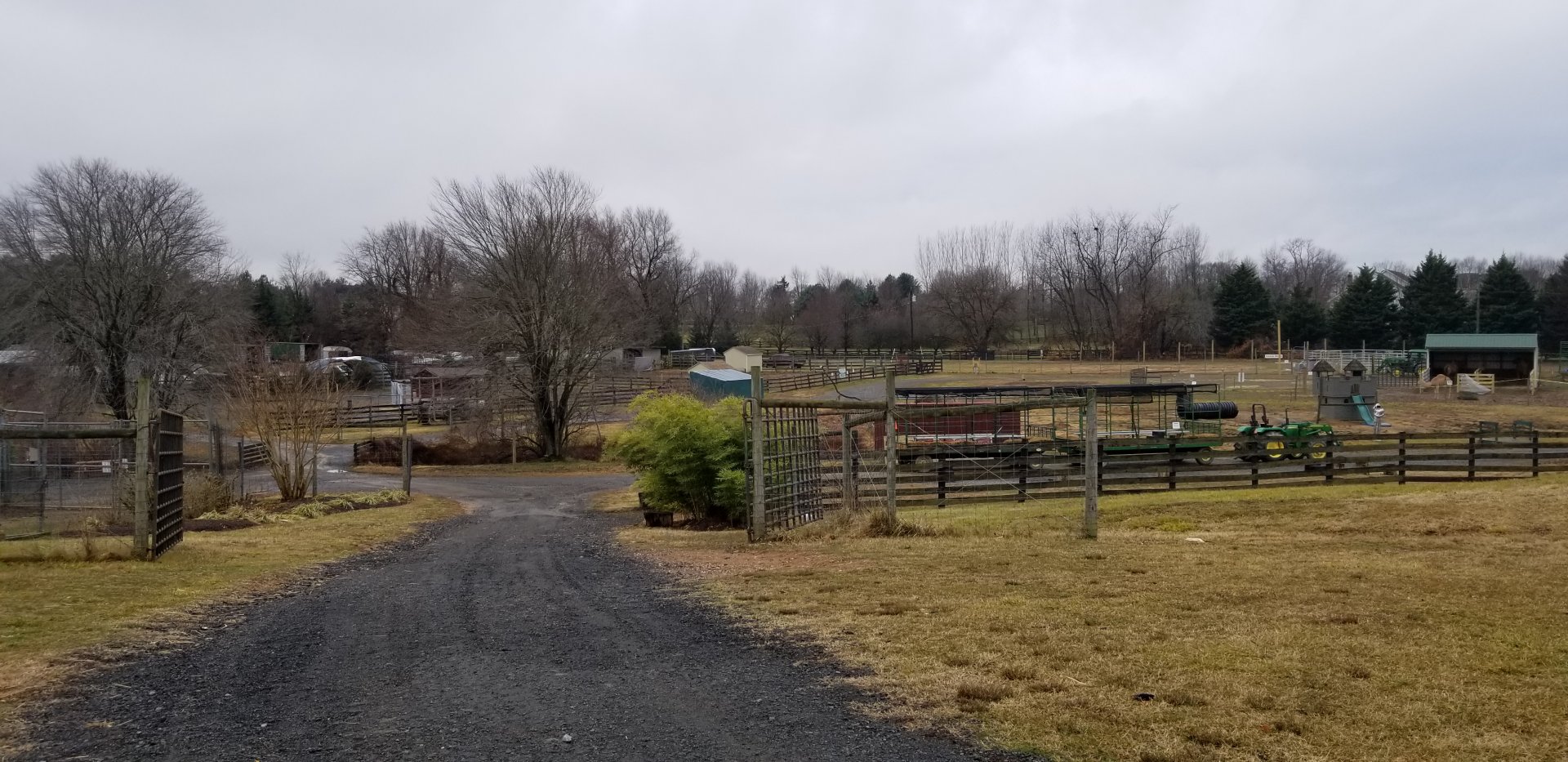 Leesburg Animal Park - view of zebras, camels