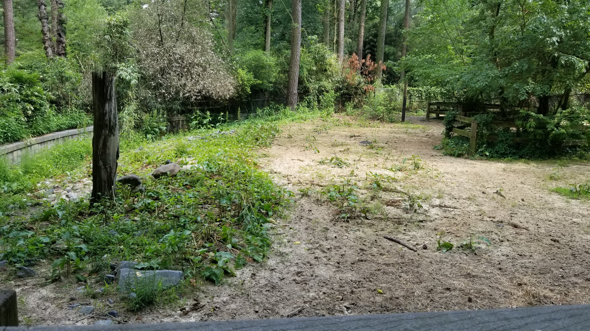 Left corner of bison yard