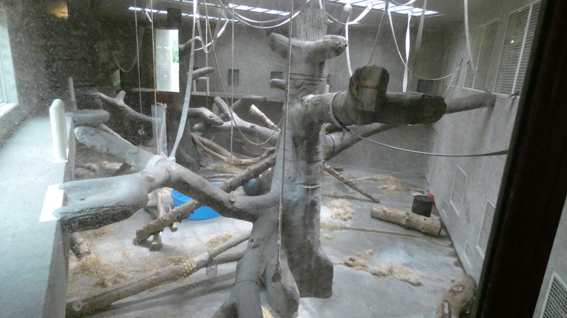 Left Indoor Ape Exhibit, Great Apes of Harambee - July 2022