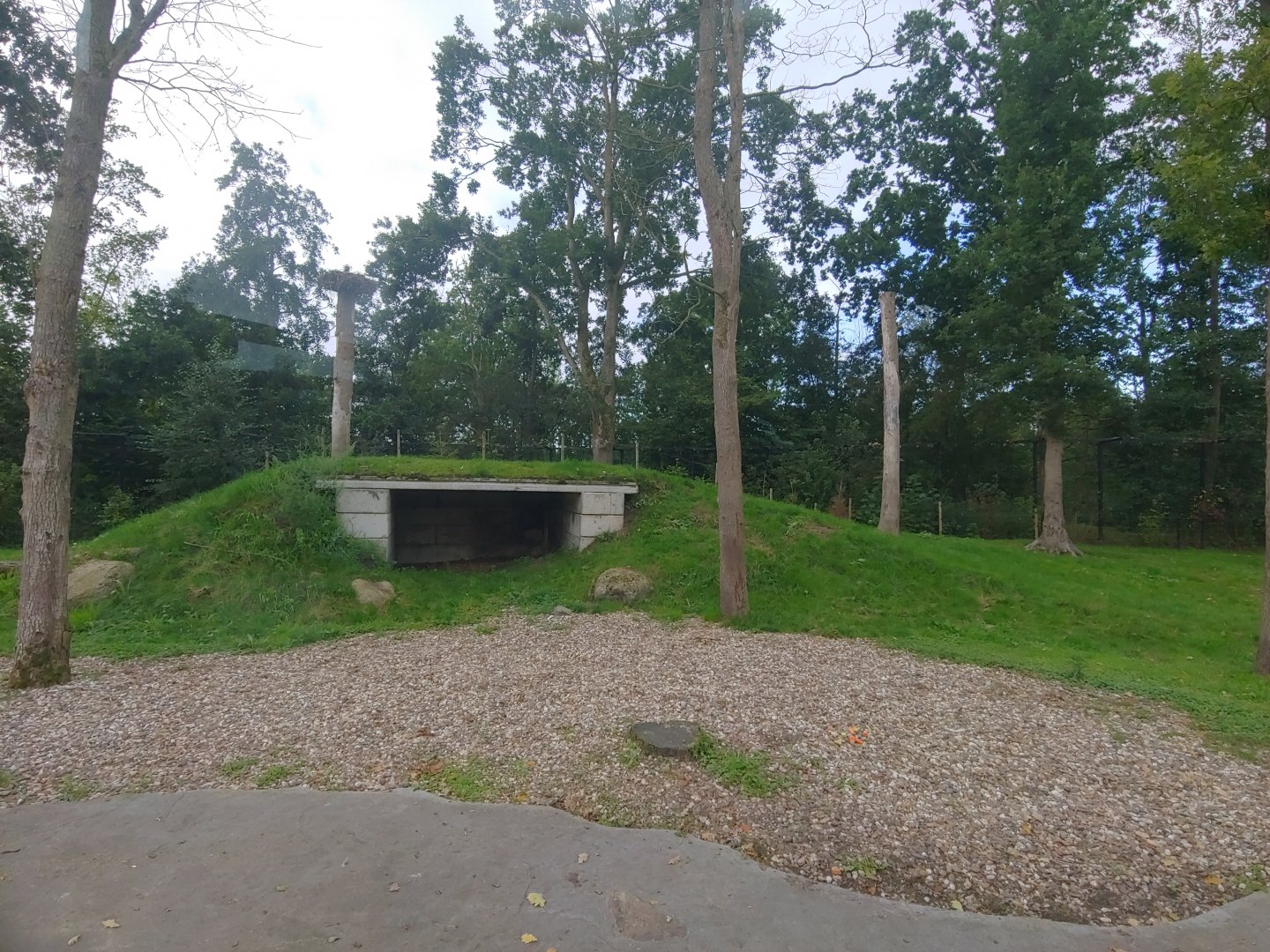 Left Polar bear enclosure