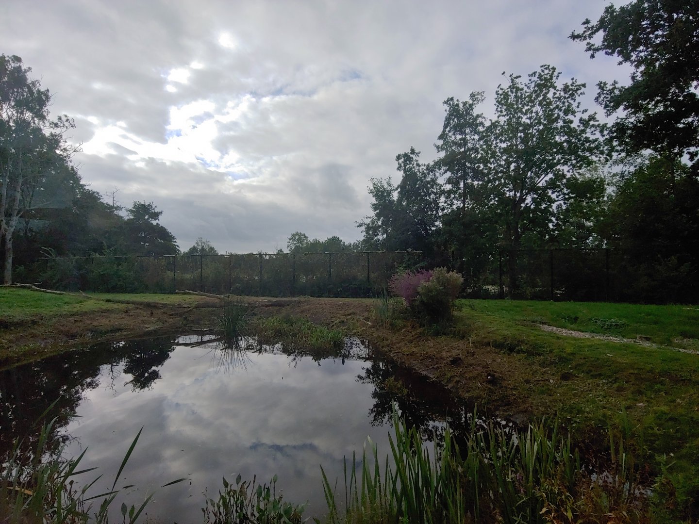 Left Polar bear enclosure