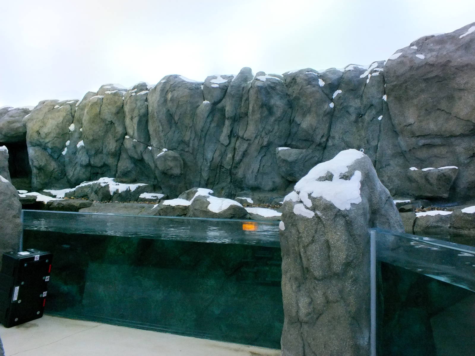 Left portion of left Penguin Exhibit
