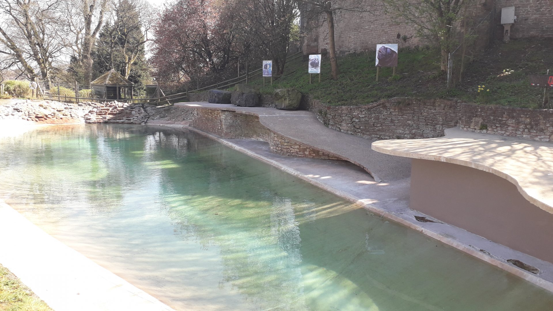 Left Sea Lion Enclosure