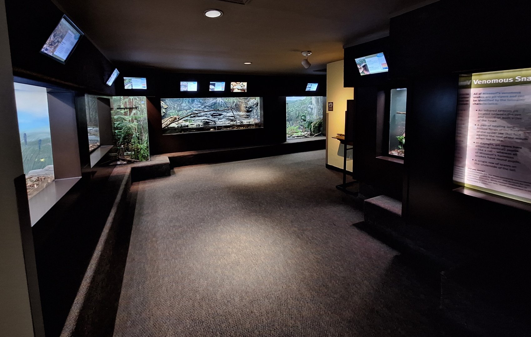 Left Side Back Hall (Native herps)