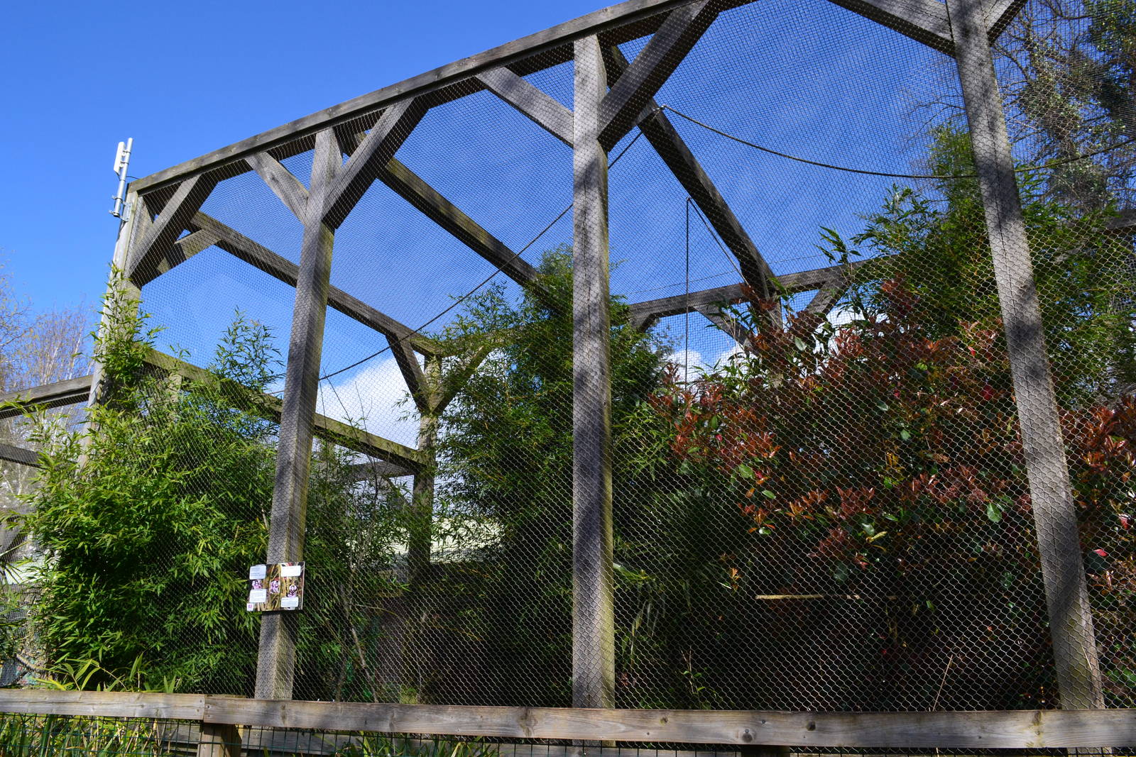 Left side of giant marmoset enclosure