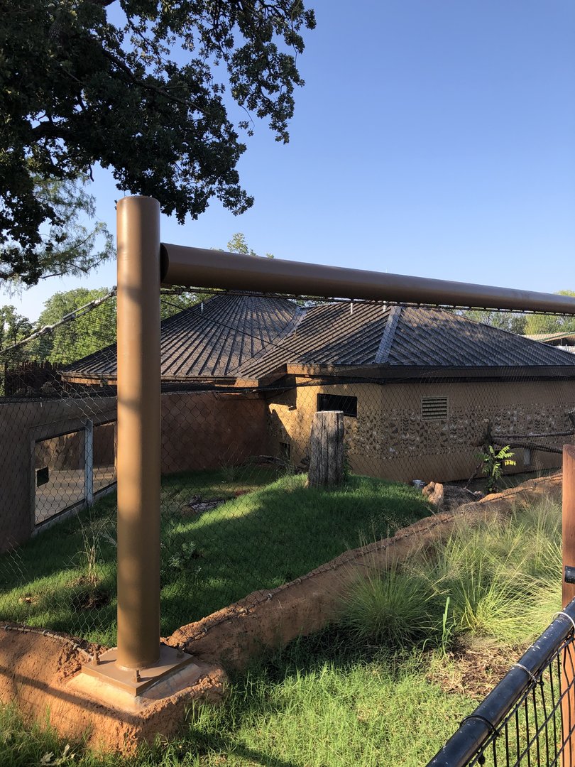 Left Side of Honey Badger Exhibit