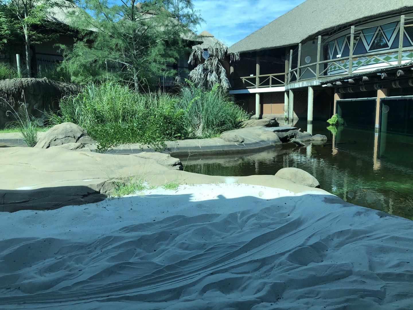Left Side of Nile Croc Habitat