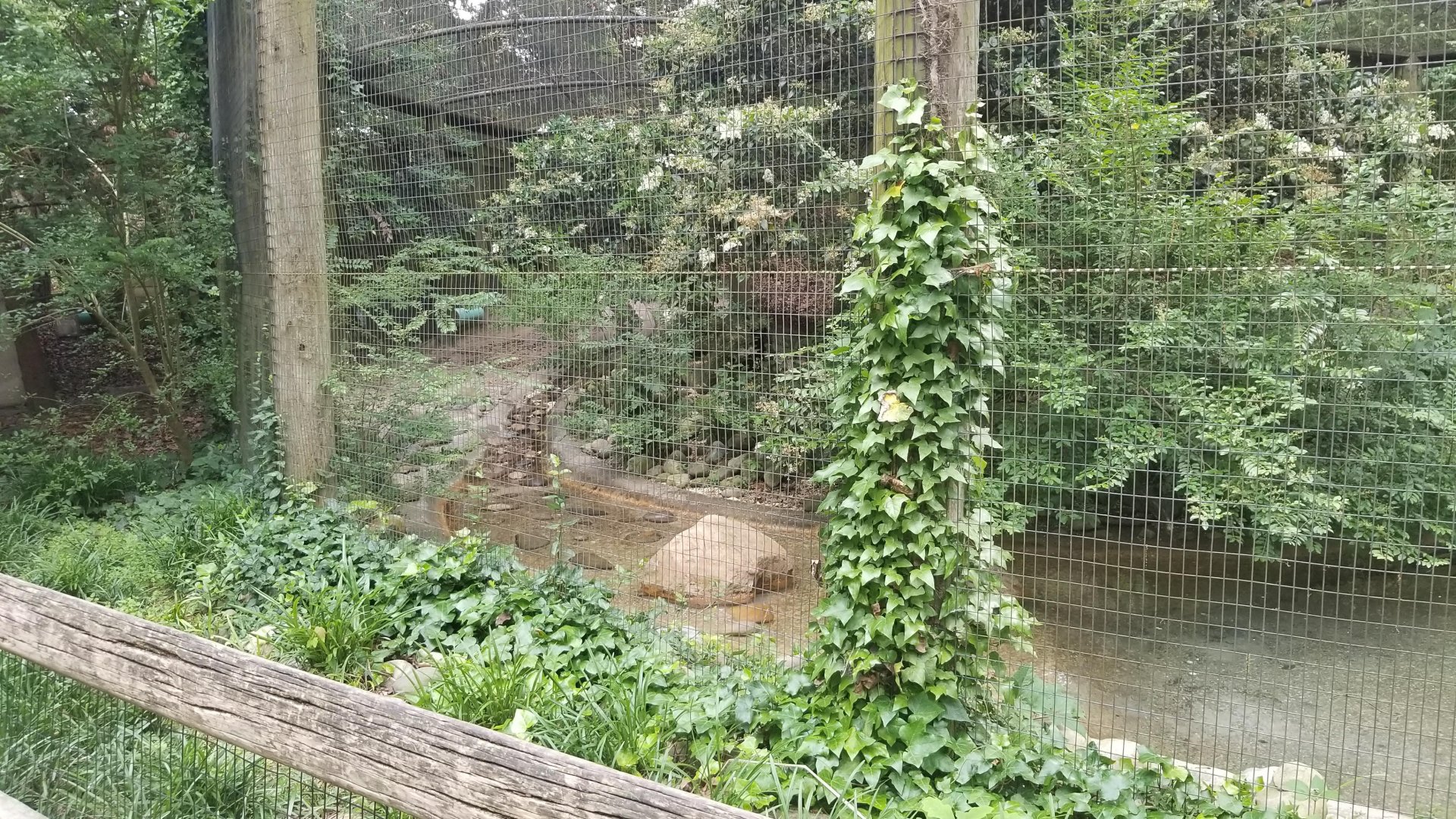 Left side of otter enclosure