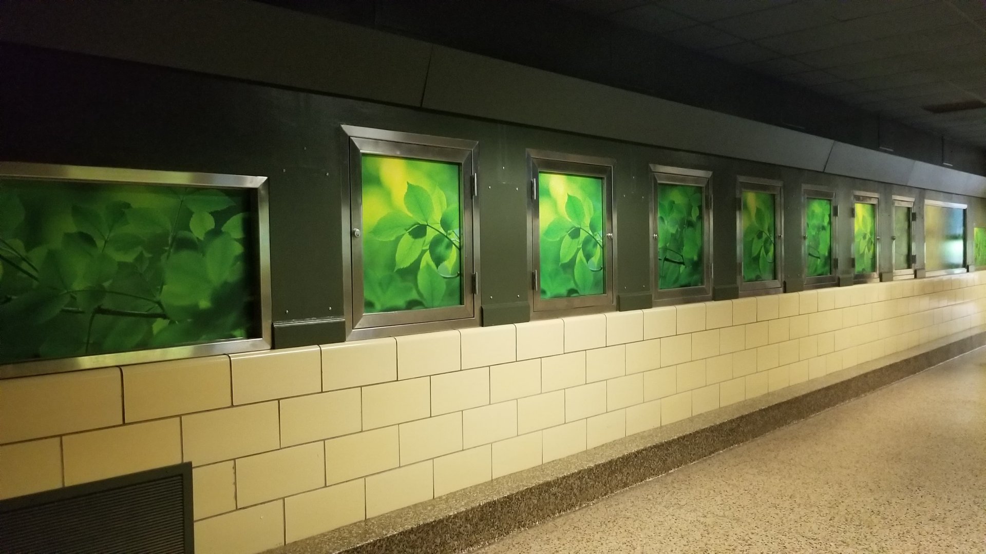 Left side of small mammal house