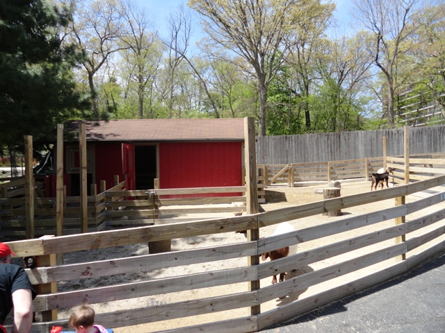 Left Side of the new Farmland Contact Yard