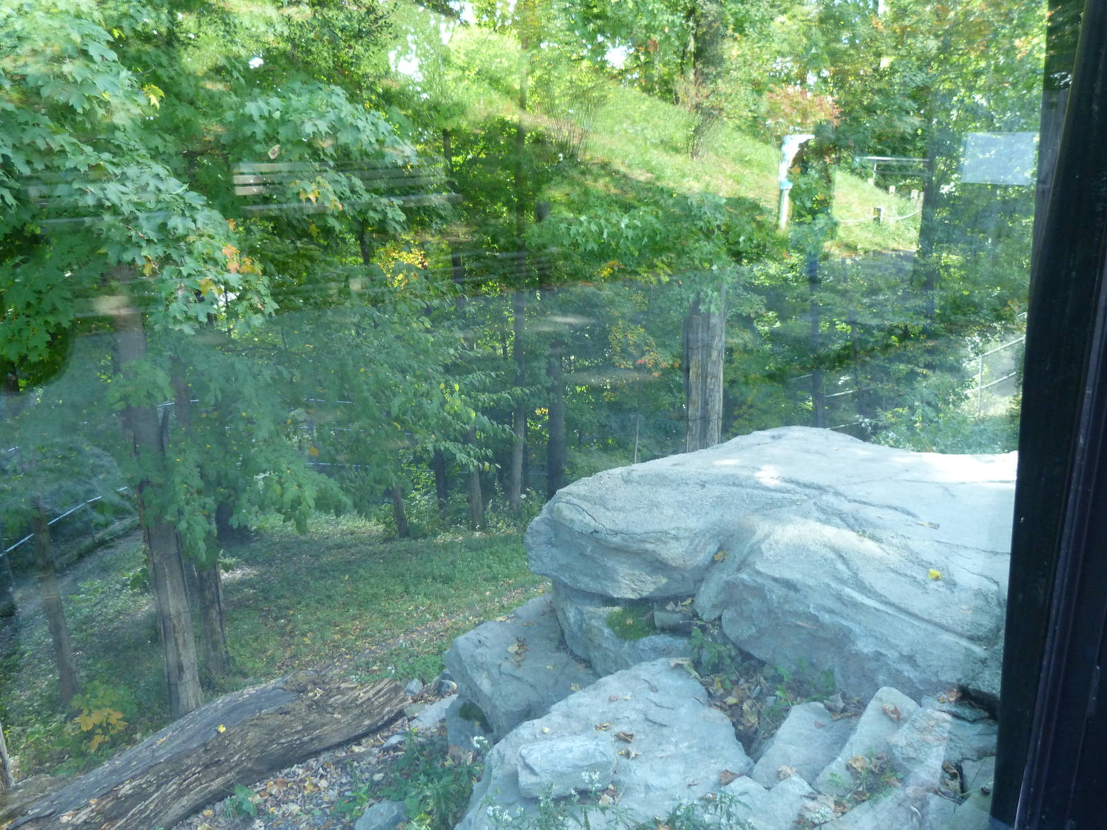 Left side of Tiger Exhibit