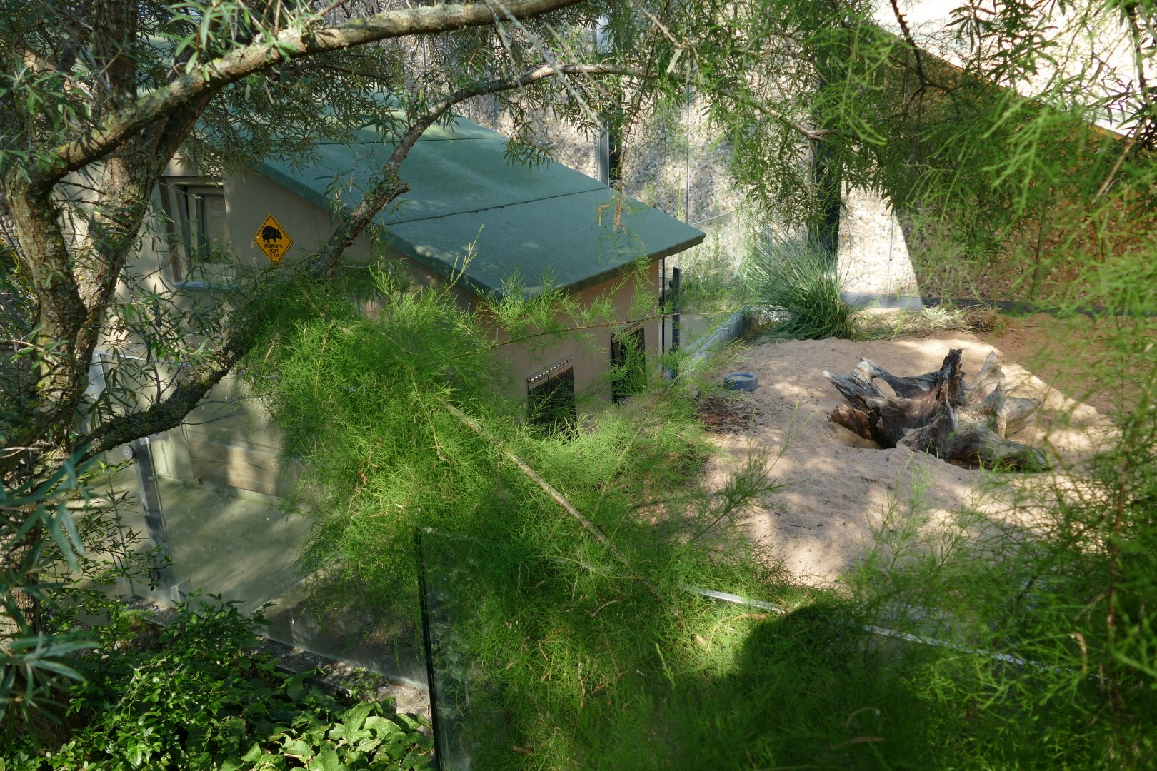 Left-side of Wombat Enclosure