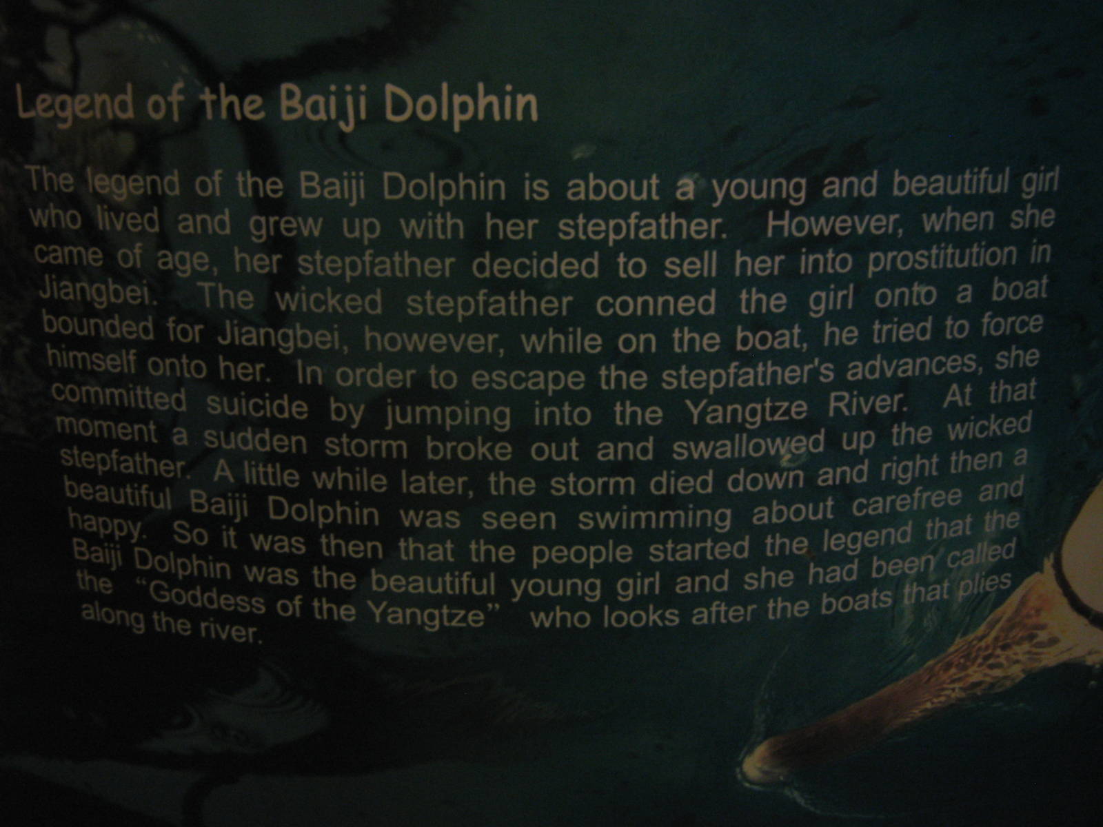 Legend of the Baiji Dolphin