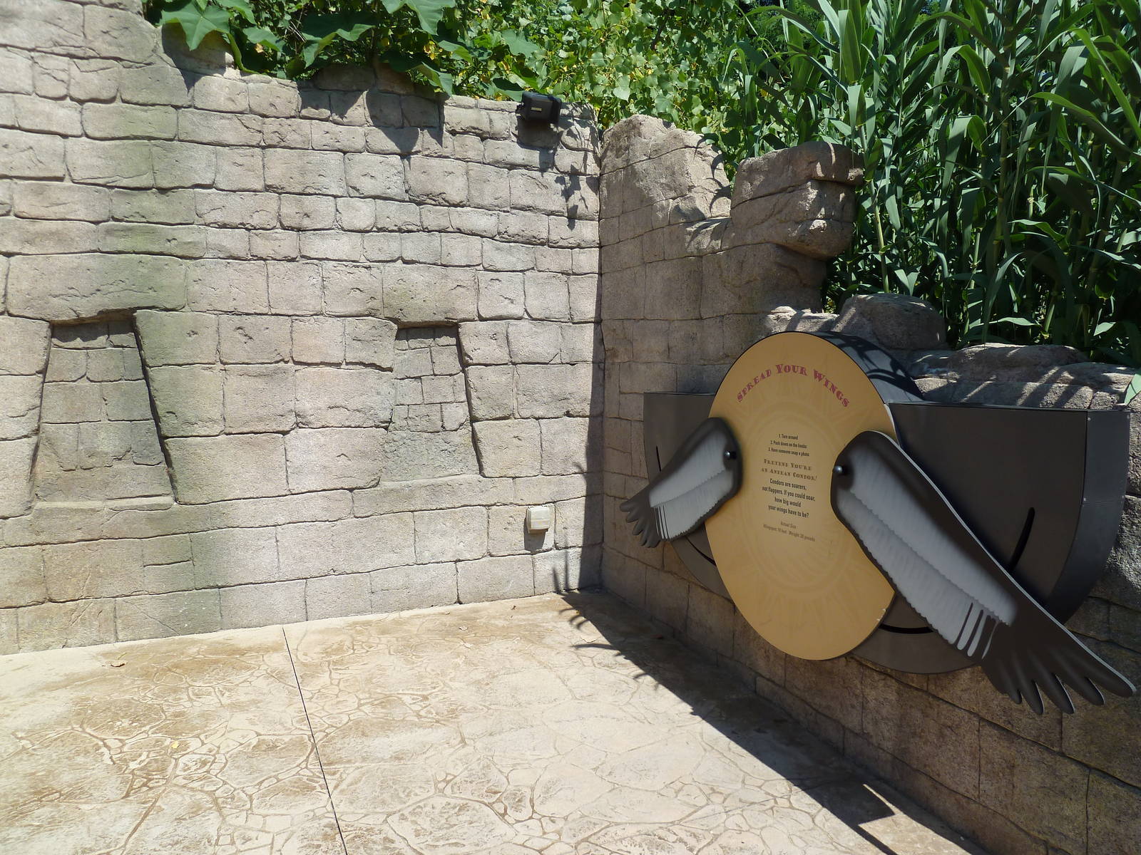 Legends Of The Wild - Andean Condor Exhibit - Signage