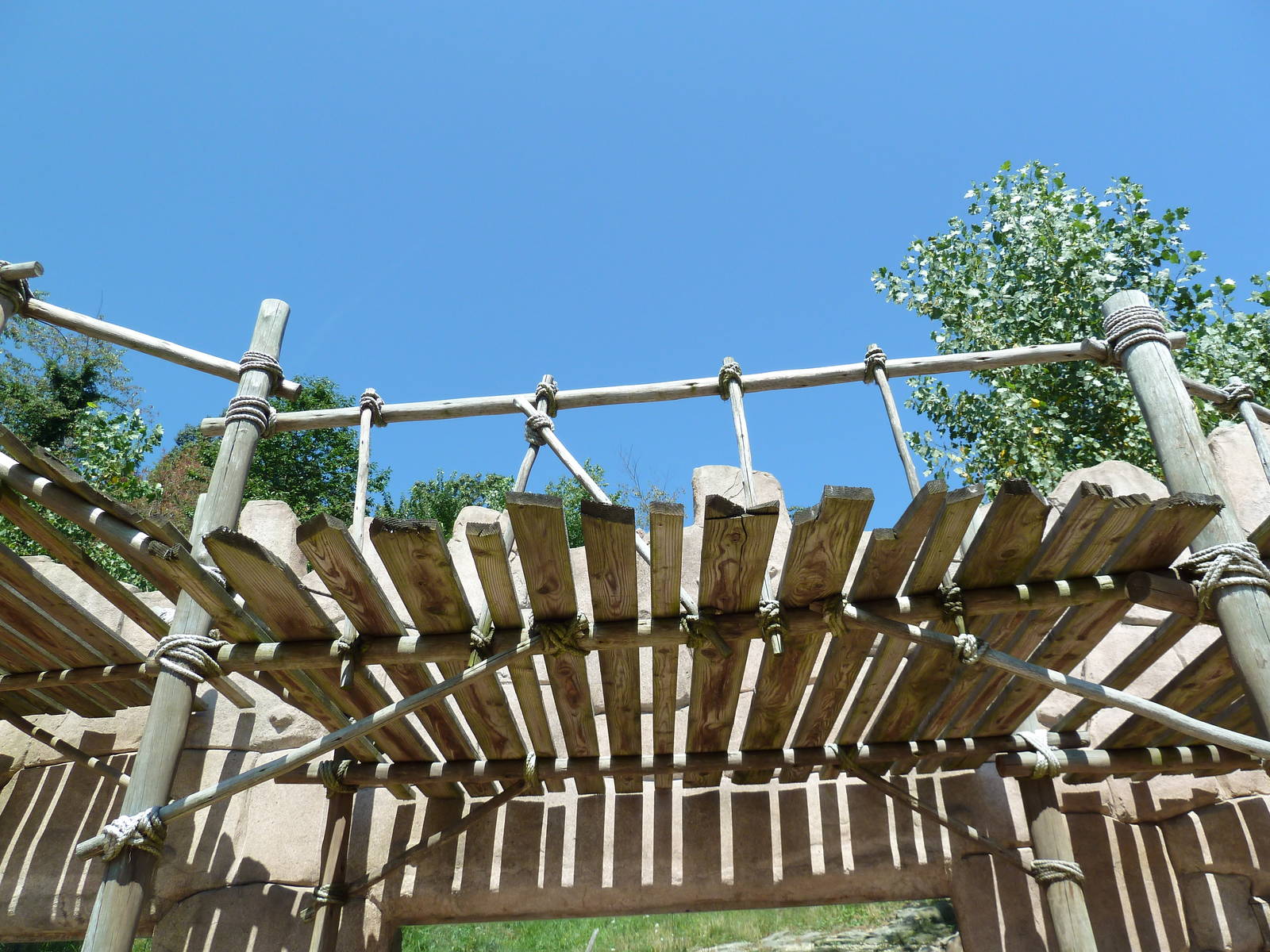 Legends Of The Wild - Andean Condor Exhibit - Visitor Cover