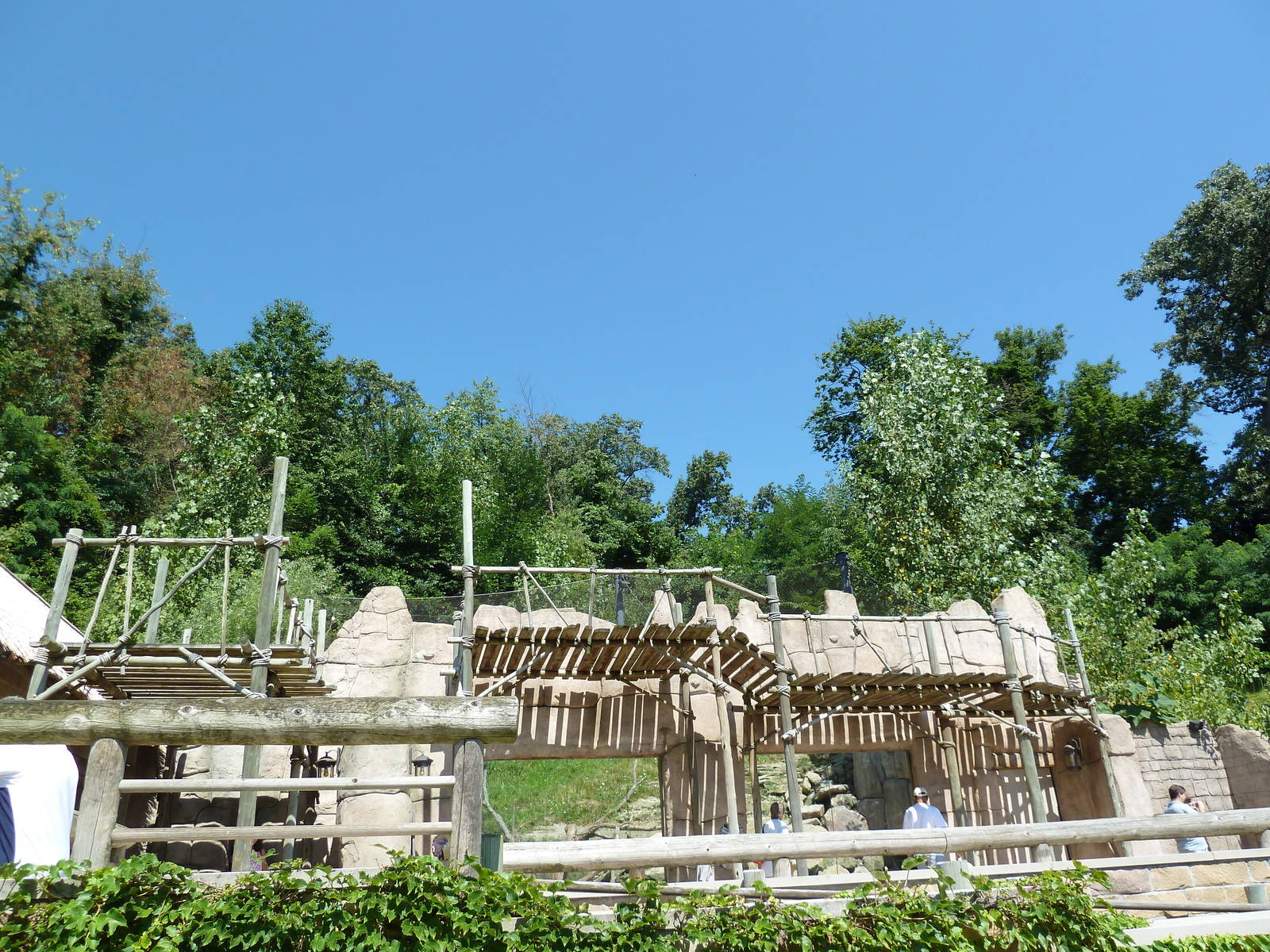 Legends Of The Wild - Andean Condor Exhibit