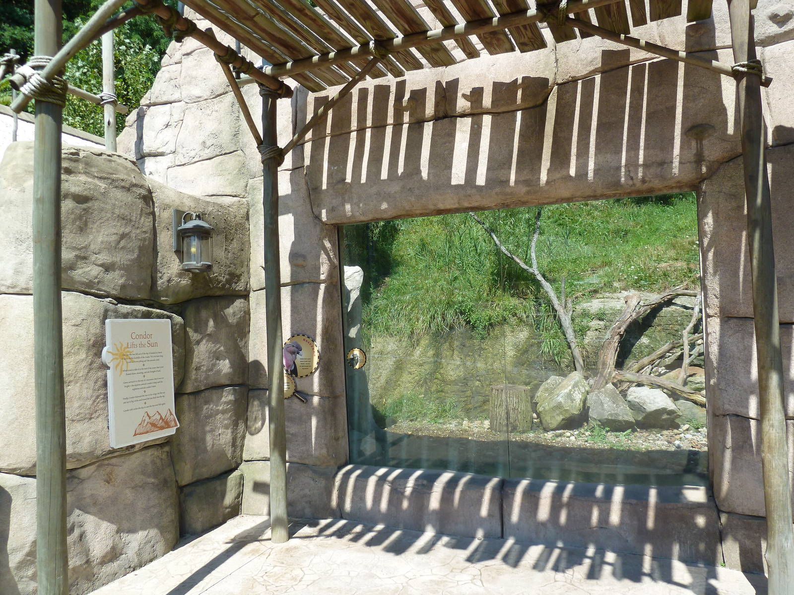 Legends Of The Wild - Andean Condor Exhibit