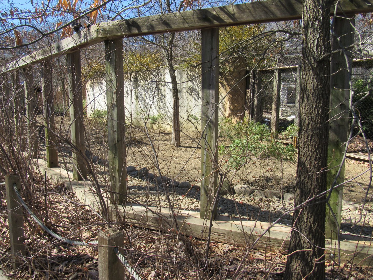 Legends of the Wild Deer Exhibit Renovation