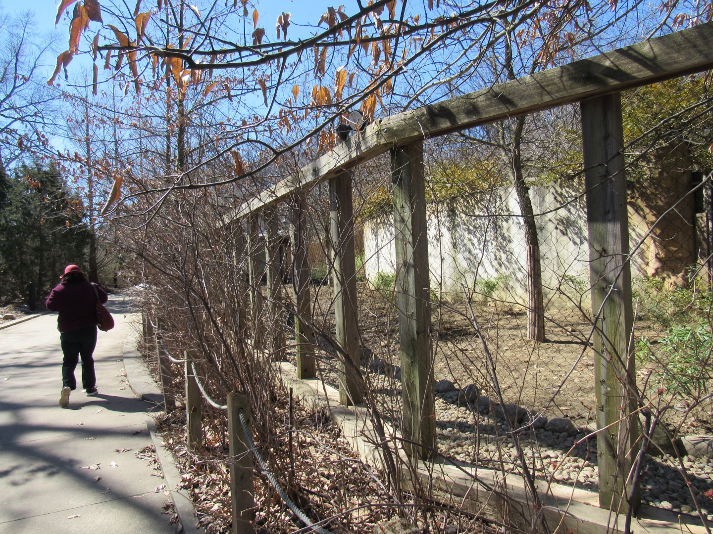 Legends of the Wild Deer Exhibit Renovation