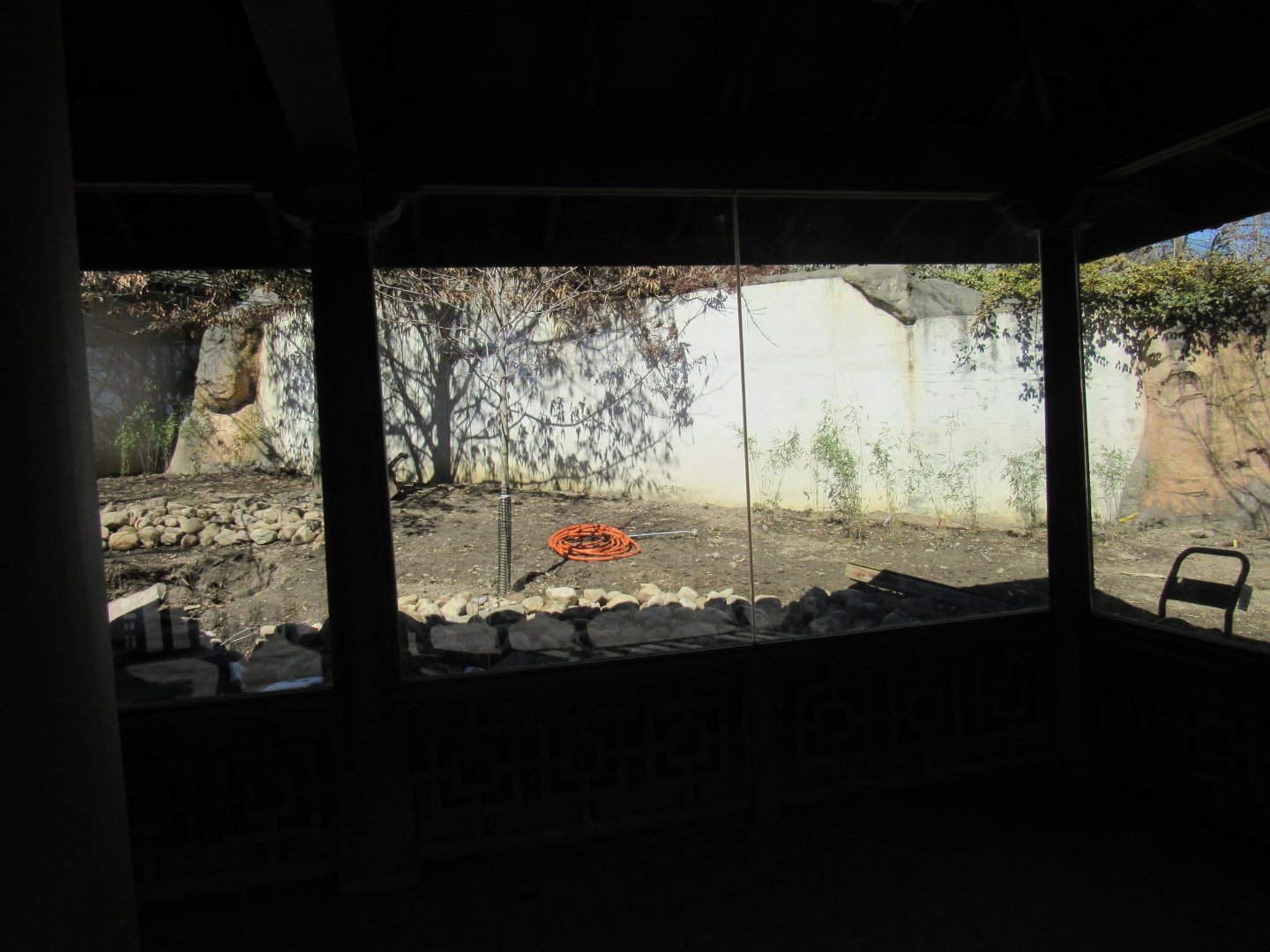 Legends of the Wild Deer Exhibit Renovation