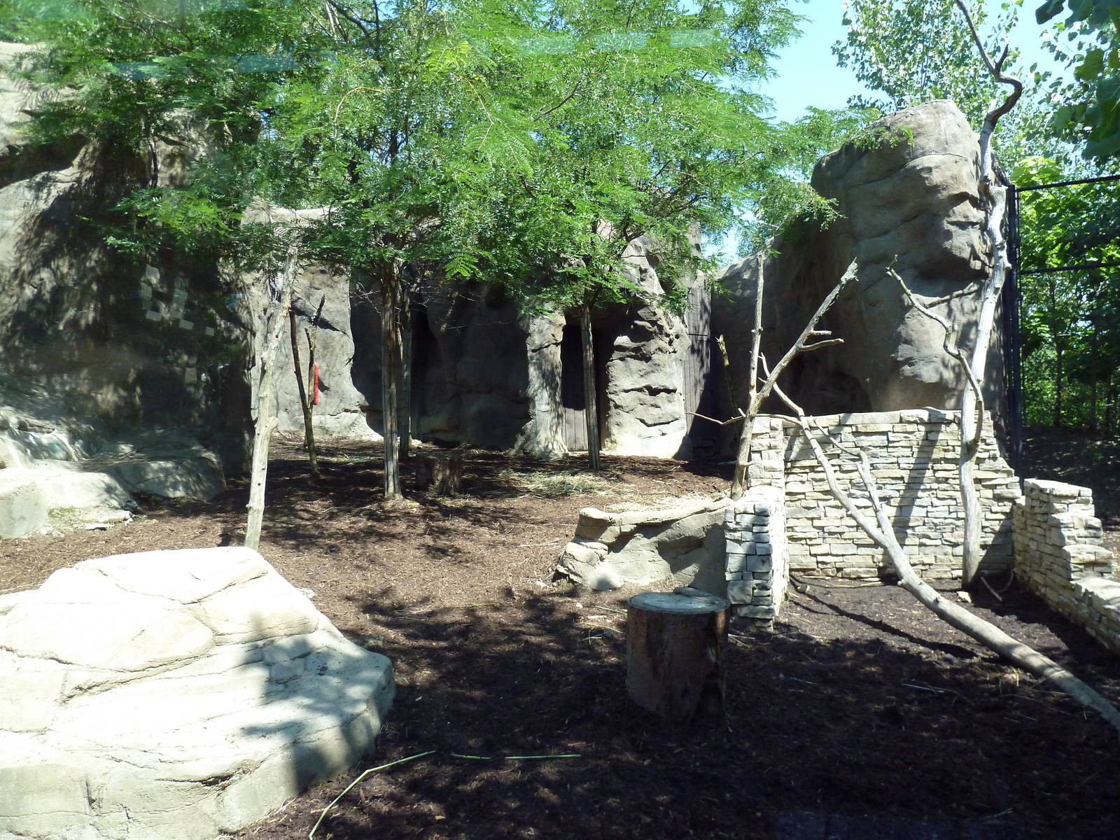 Legends Of The Wild - Himalayan Tahr Exhibit