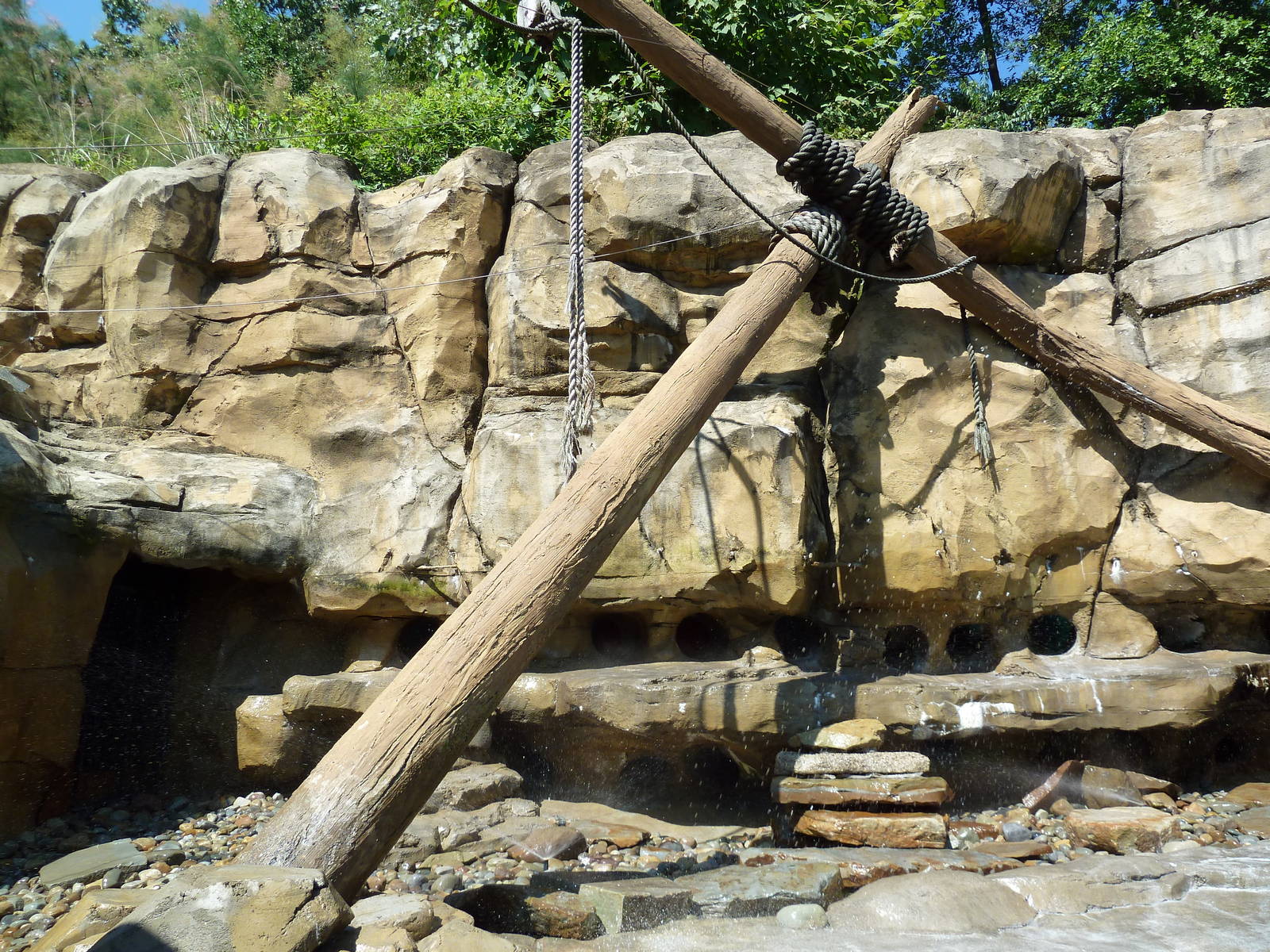 Legends Of The Wild - Humboldt Penguin Exhibit
