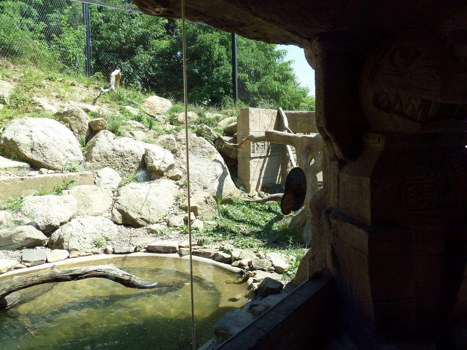 Legends Of The Wild - Jaguar Exhibit