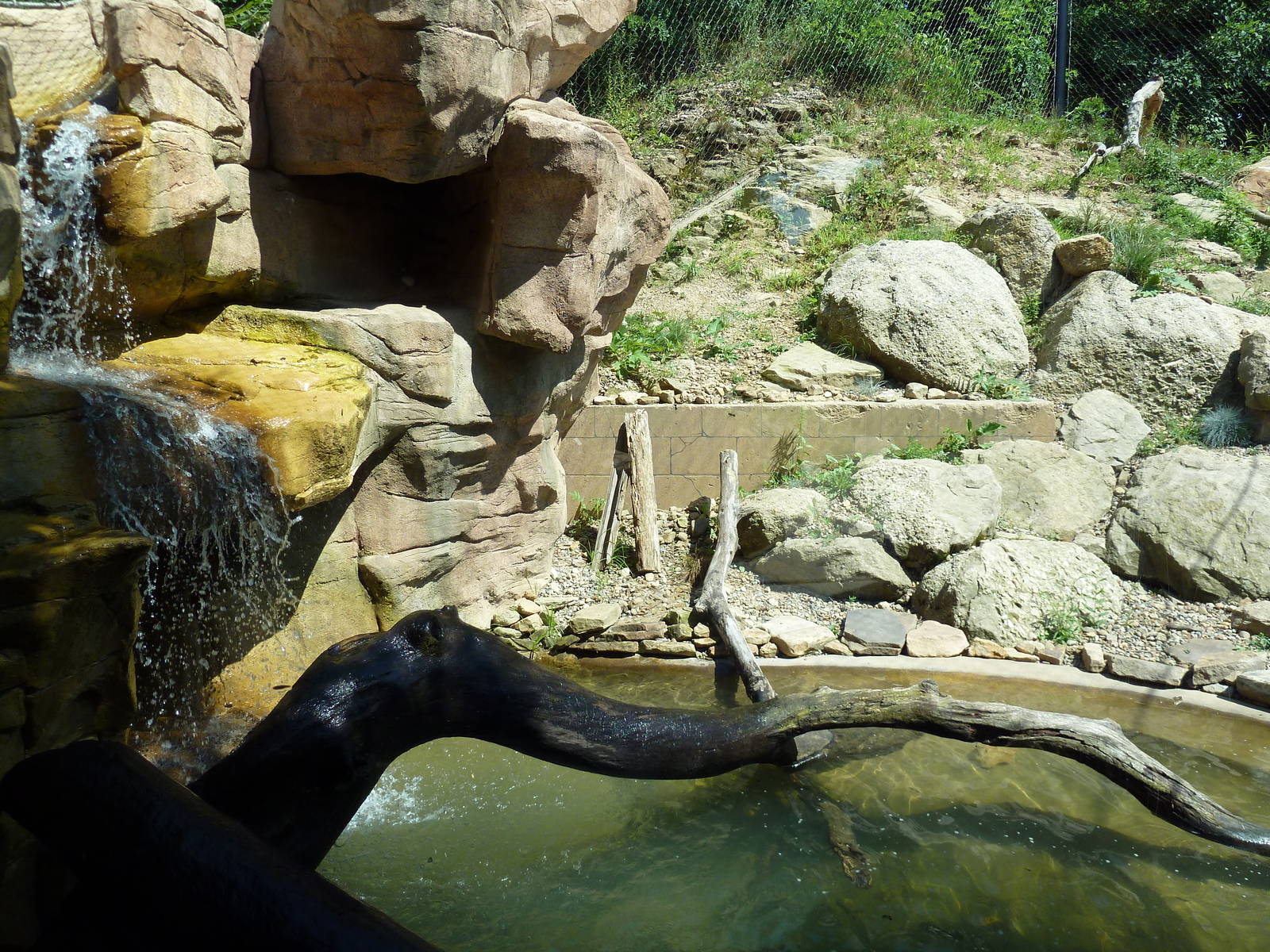 Legends Of The Wild - Jaguar Exhibit
