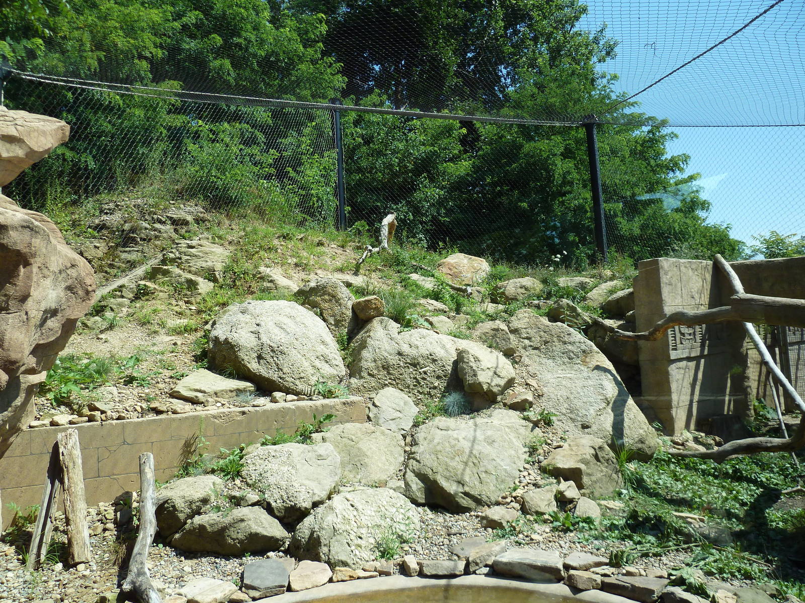 Legends Of The Wild - Jaguar Exhibit