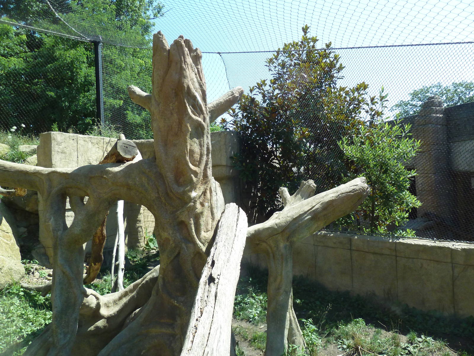 Legends Of The Wild - Jaguar Exhibit