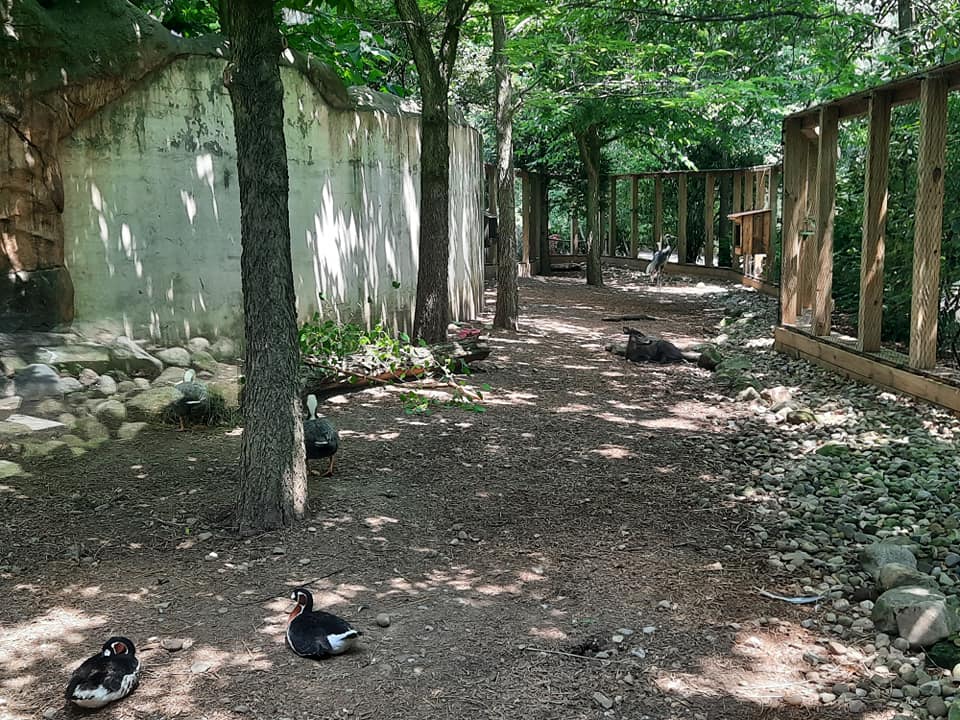 Legends of the Wild Mixed Exhibit