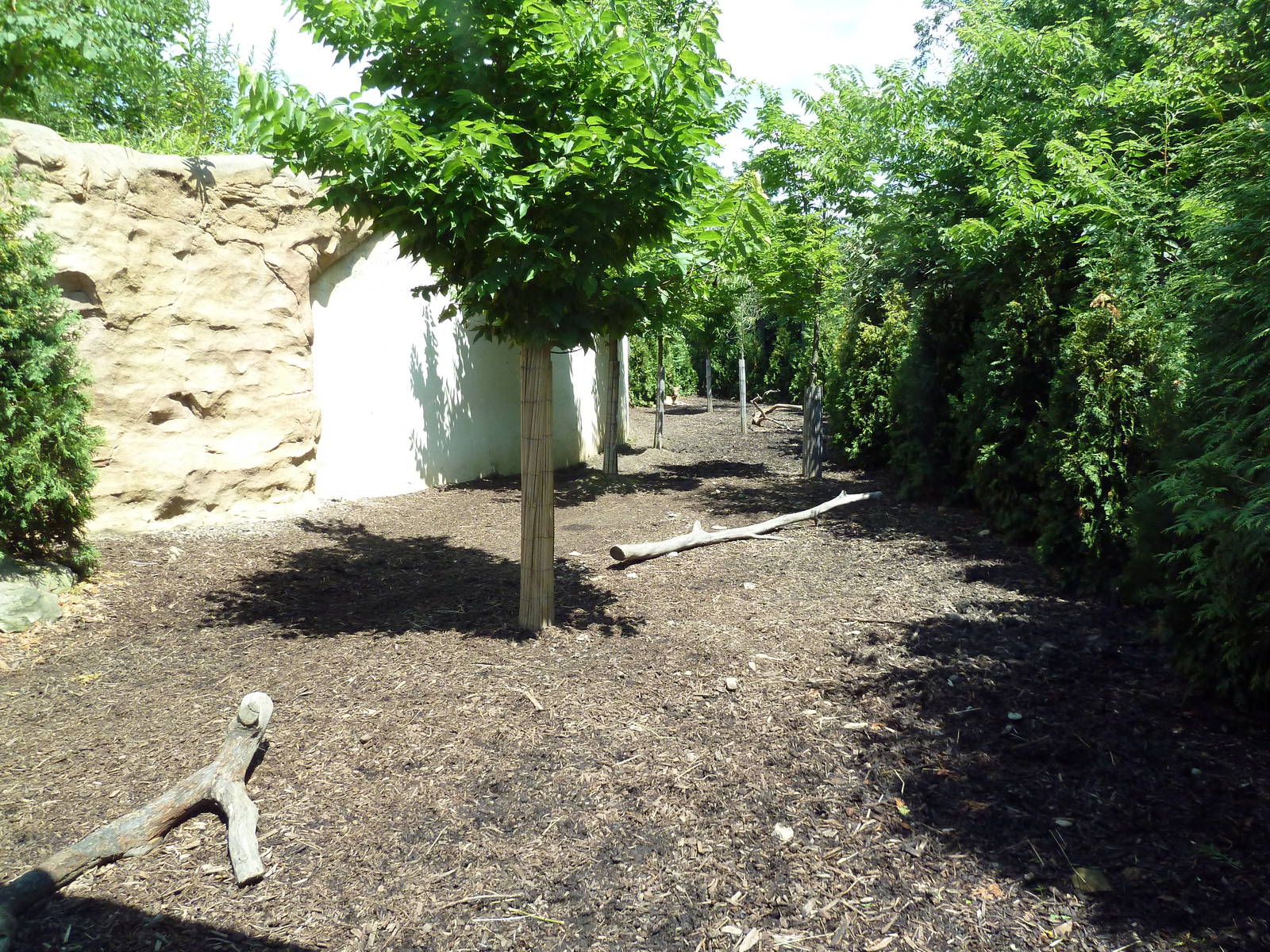 Legends Of The Wild - Sika Deer Exhibit