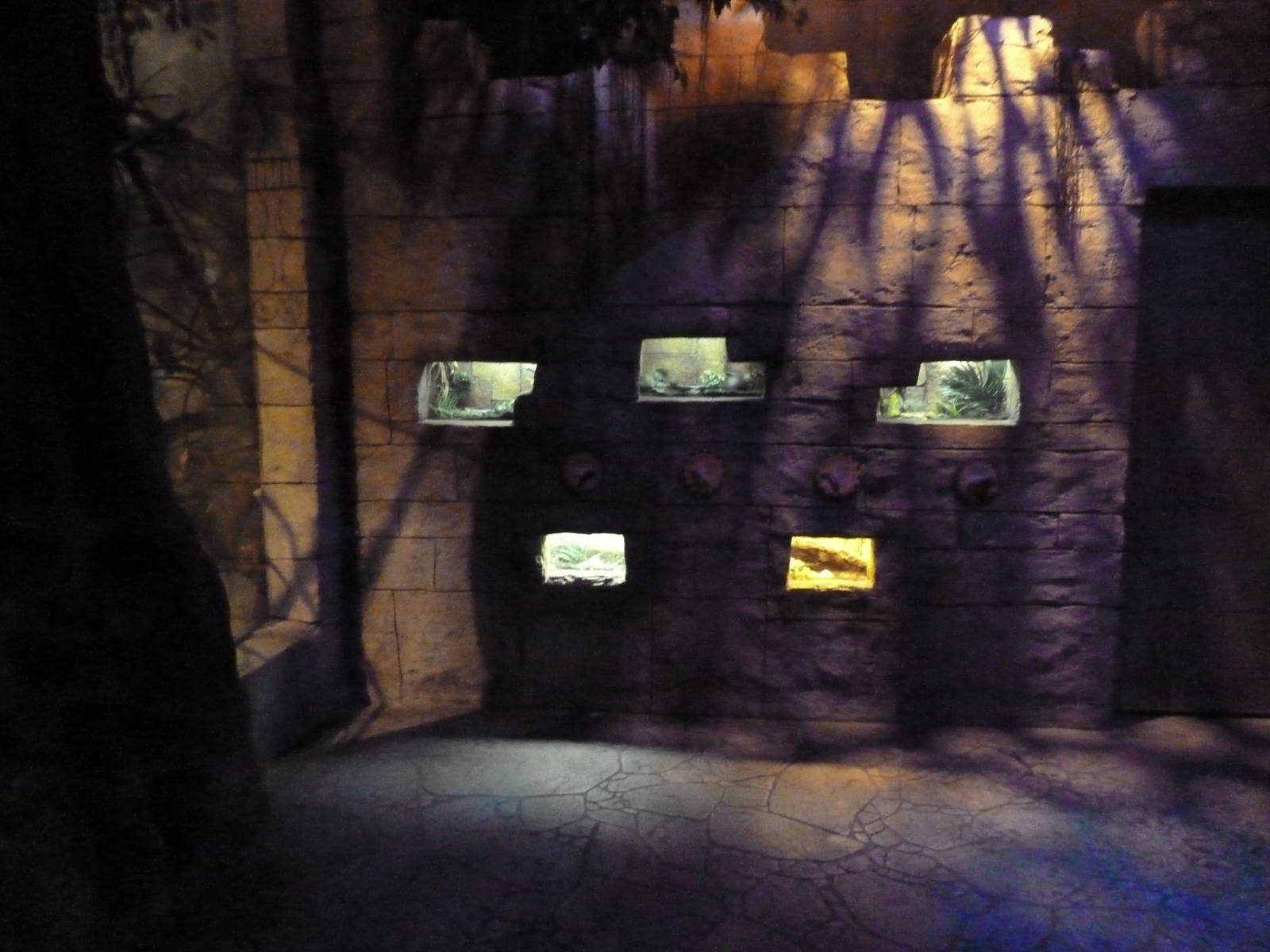 Legends Of The Wild - Terrariums