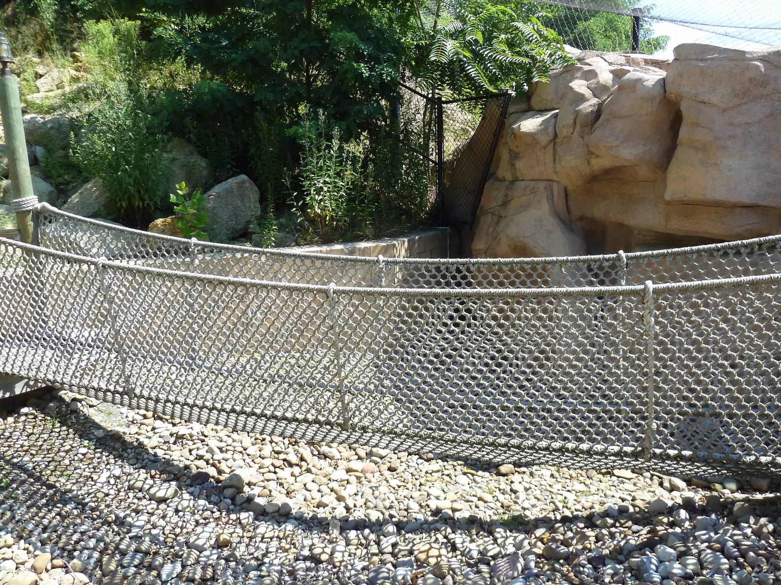 Legends Of The Wild - Visitor Suspension Bridge