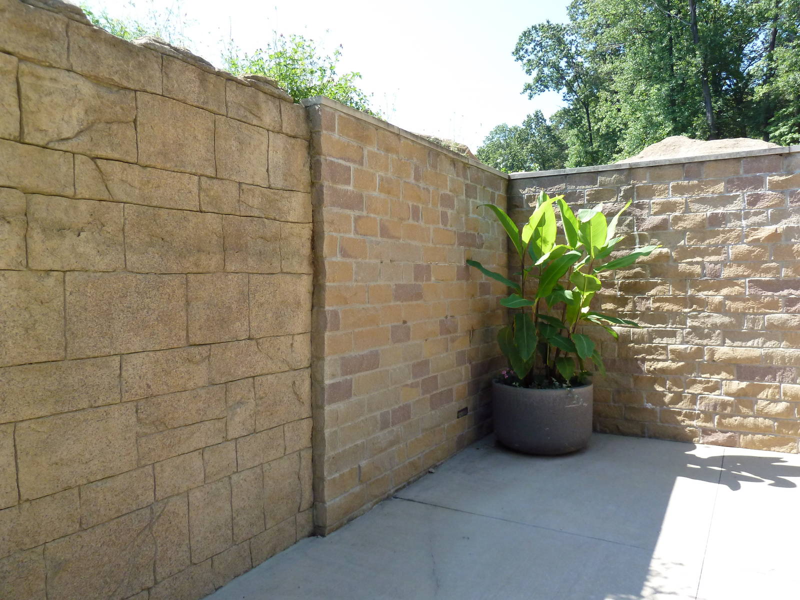 Legends Of The Wild - Visitor Walkway