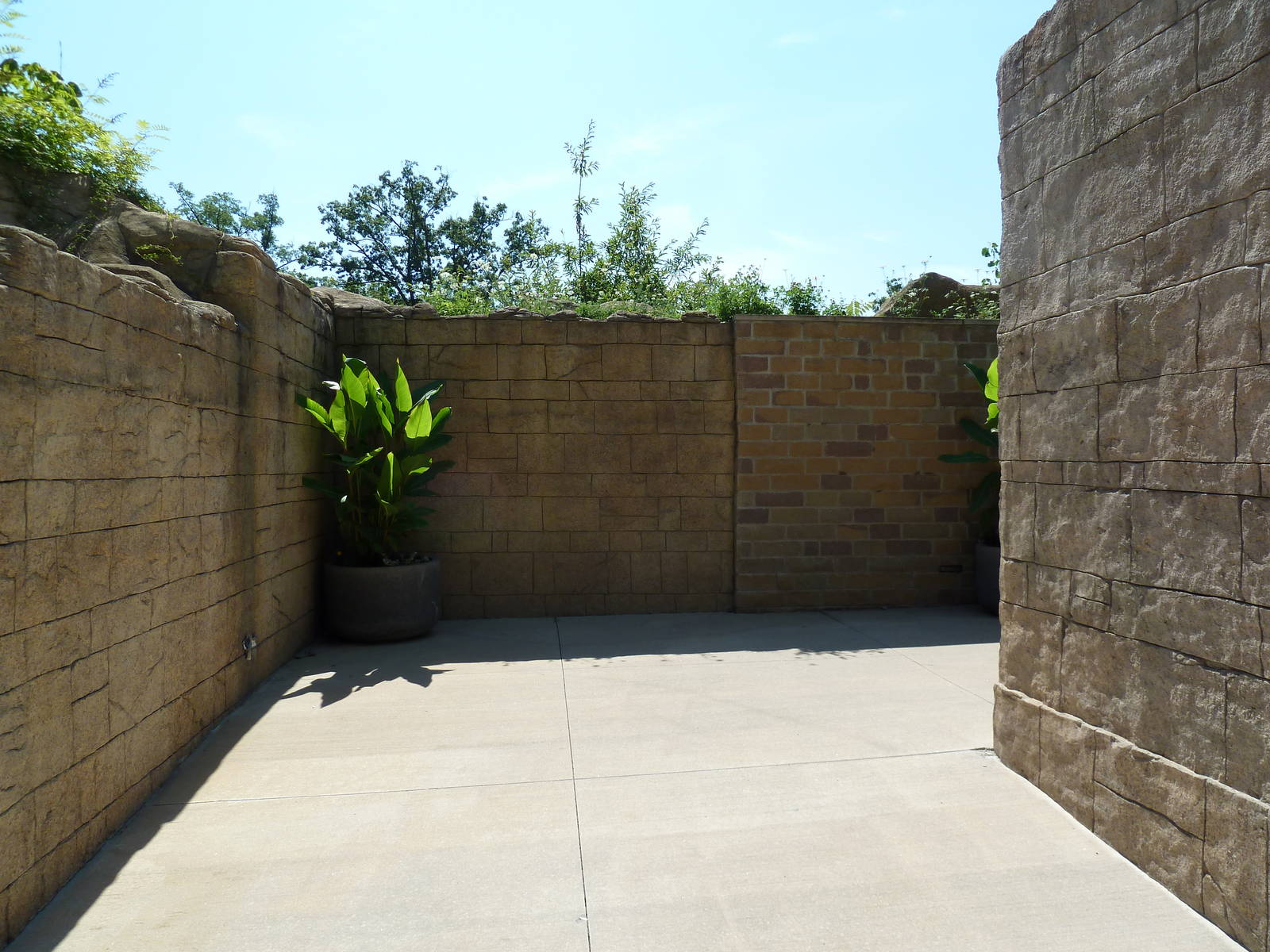 Legends Of The Wild - Visitor Walkway