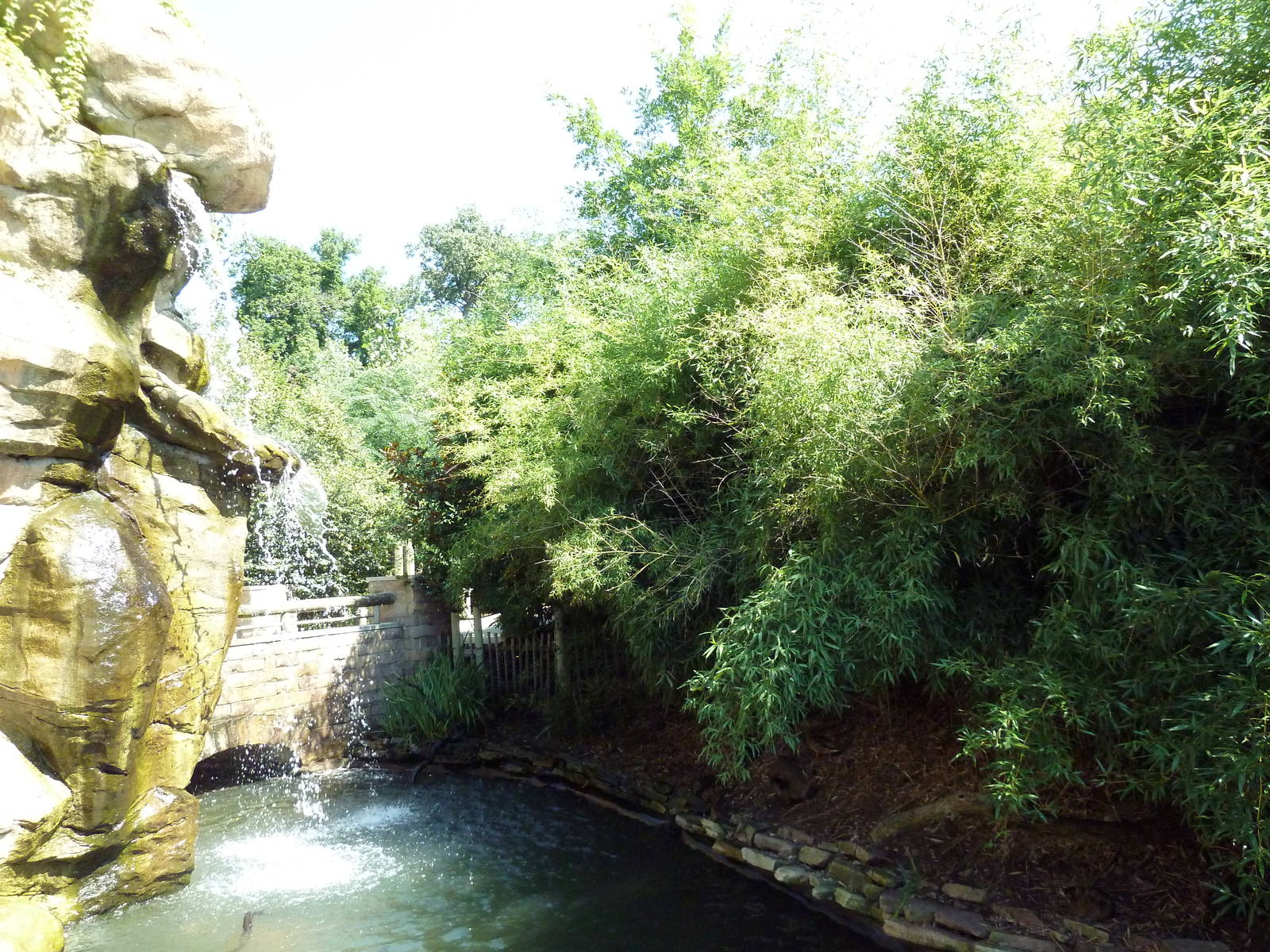 Legends Of The Wild - Waterfall