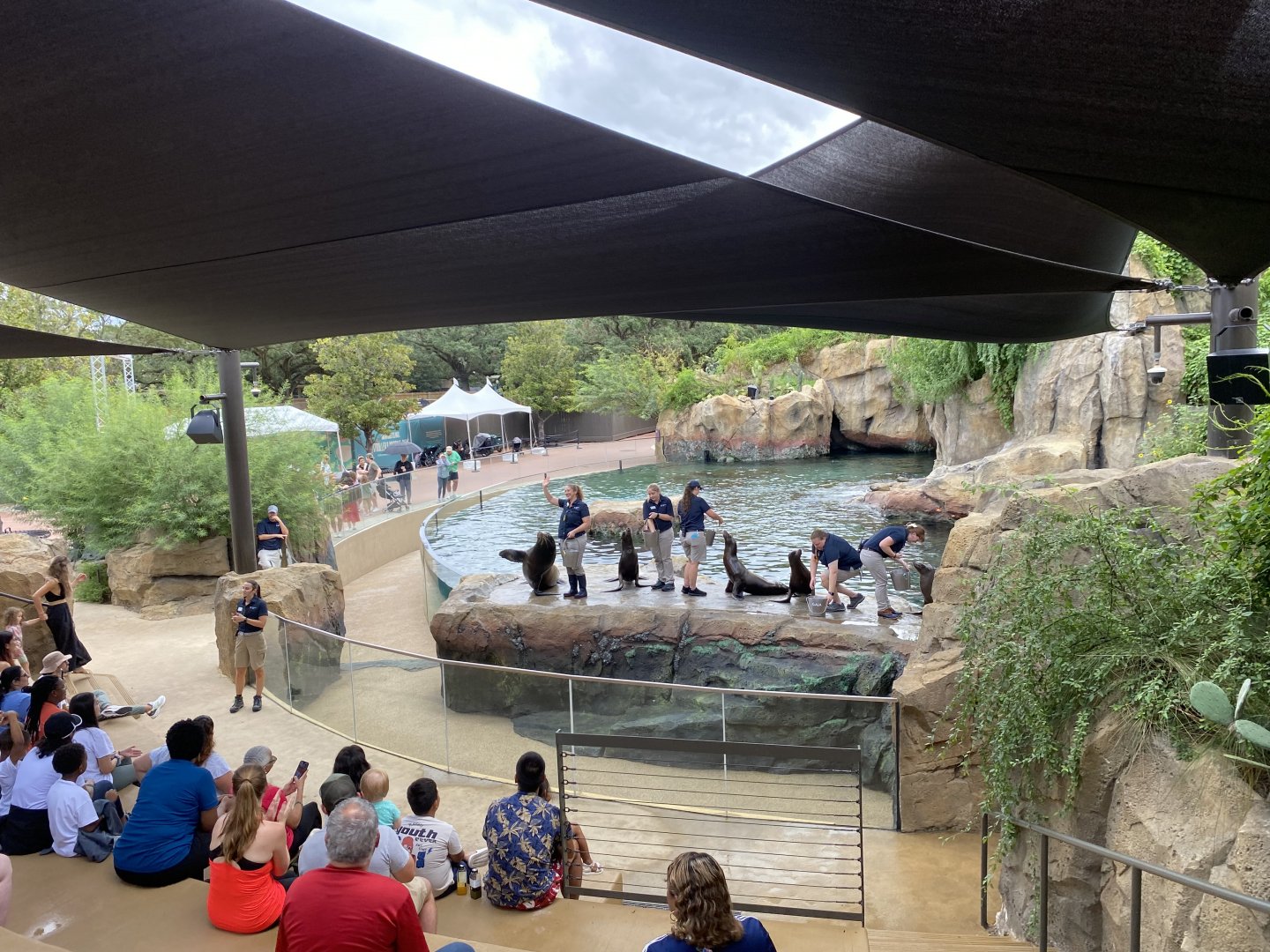 Legislator’s Day Sea Lion Show