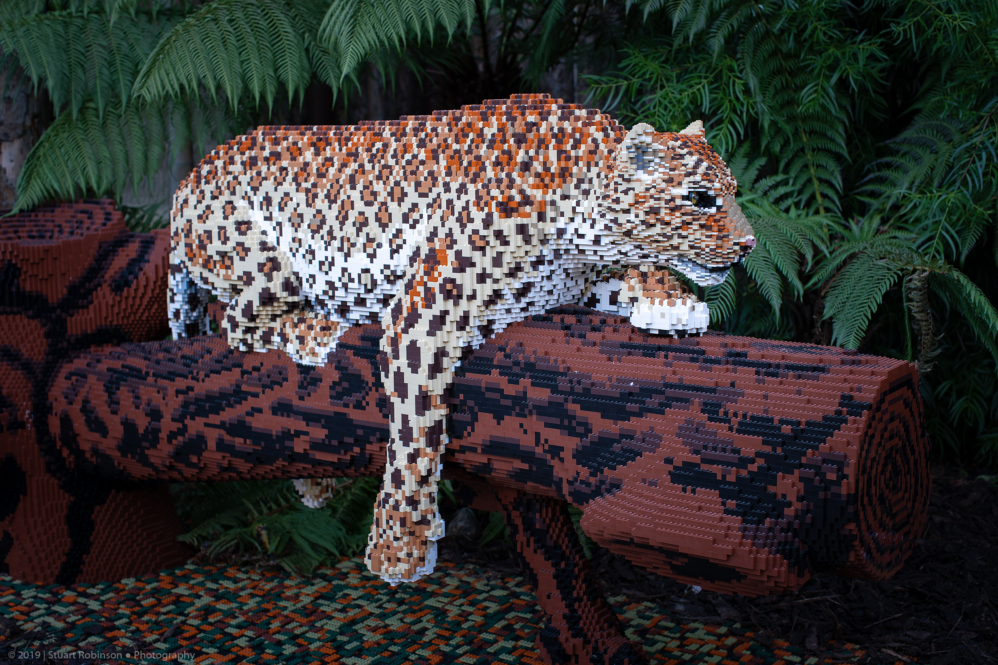 Lego Animals - Jaguar - 15/02/2019