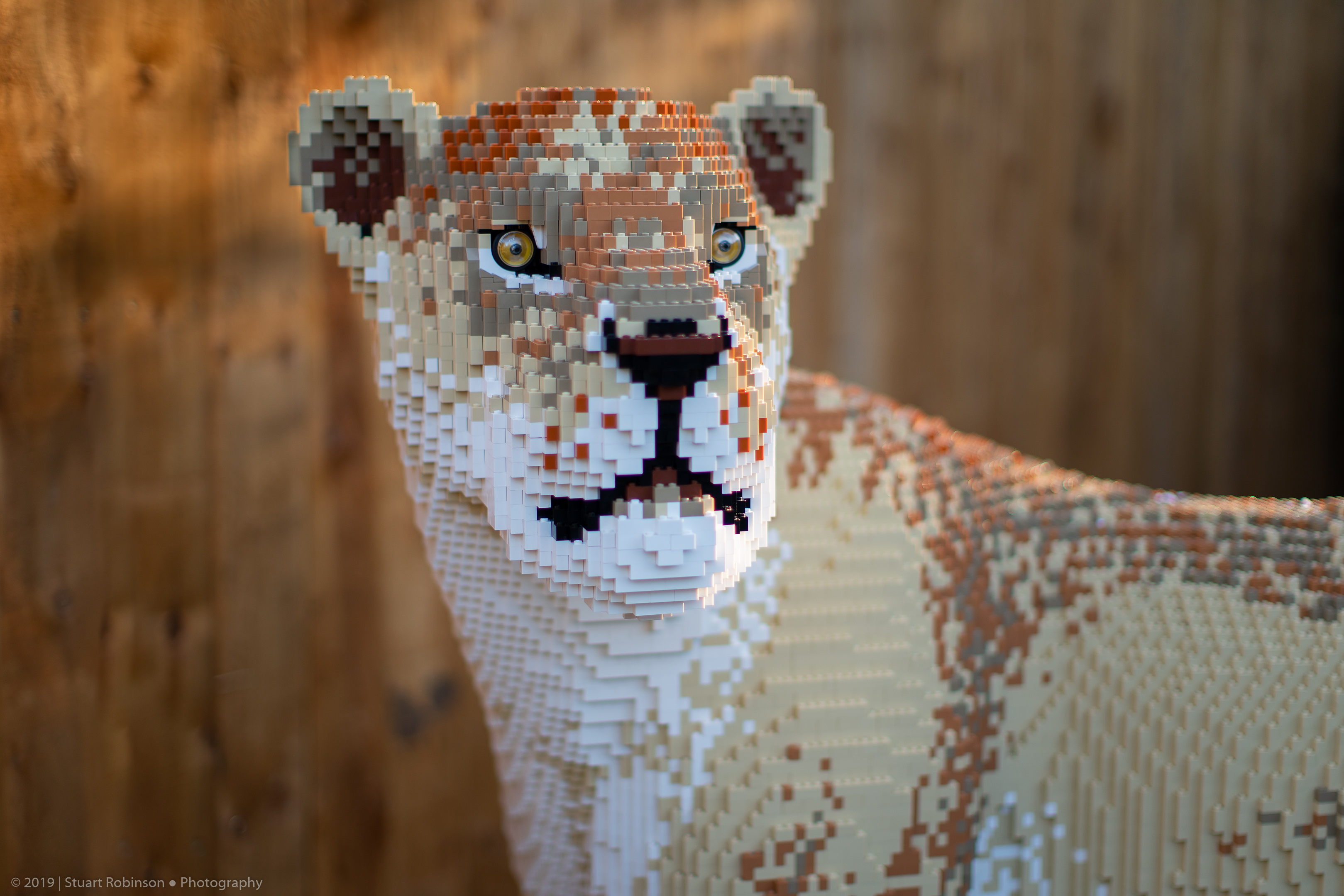 Lego Animals - Lion - 15/02/2019