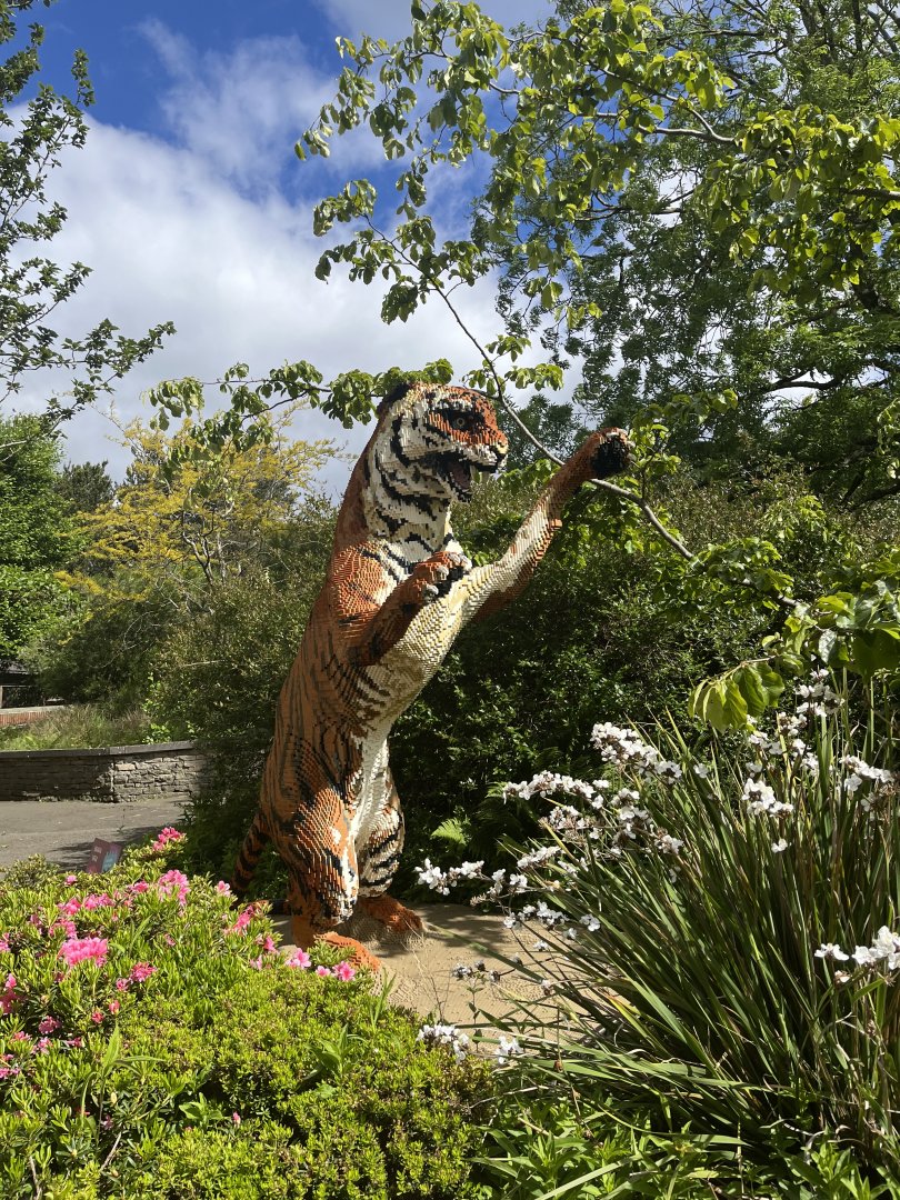 Lego Bengal tiger sculpture 8.6.24